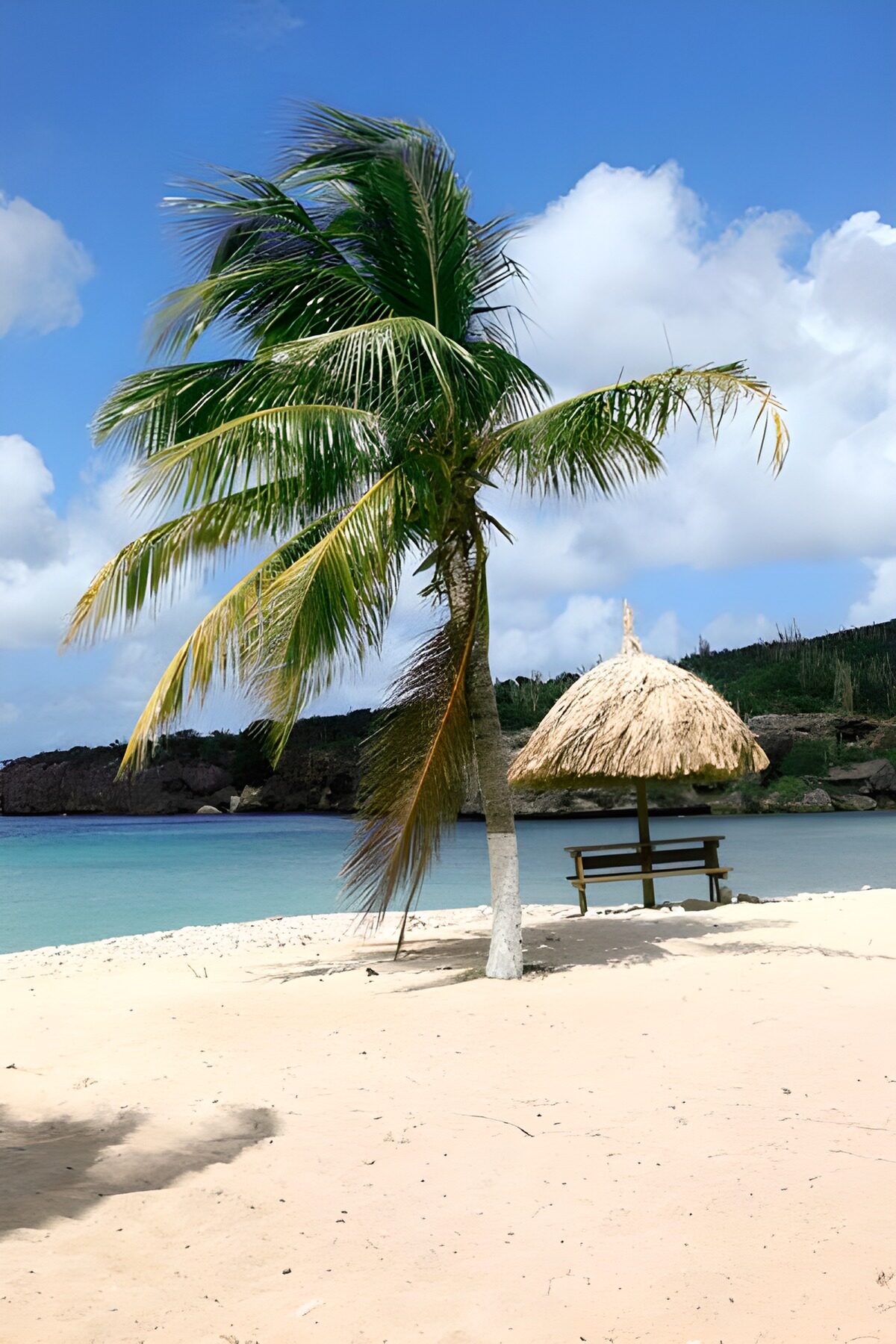 TPES92648: Palmera y sombrilla junto al mar en calma