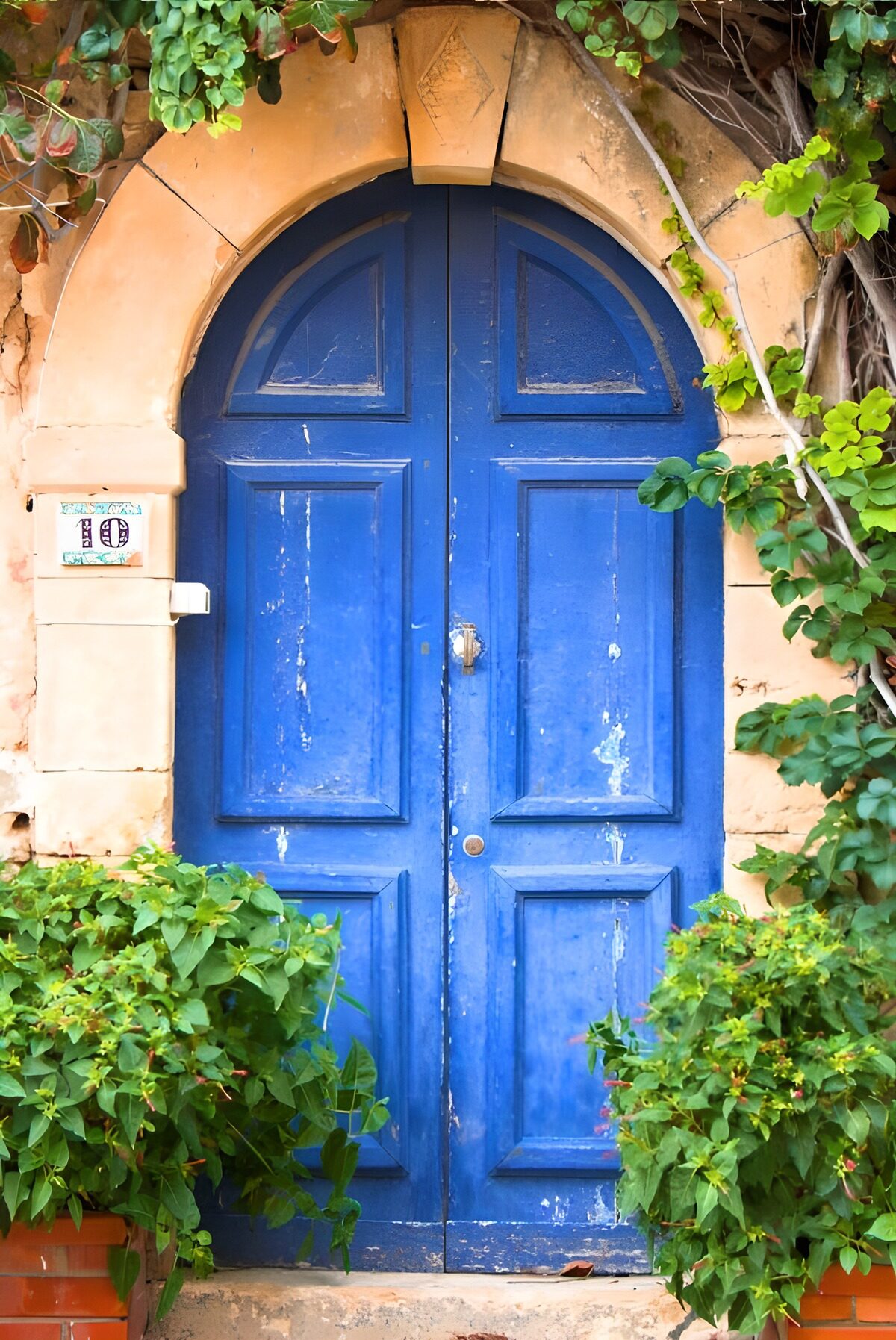 TPES22675: Puerta azul de doble hoja entre plantas