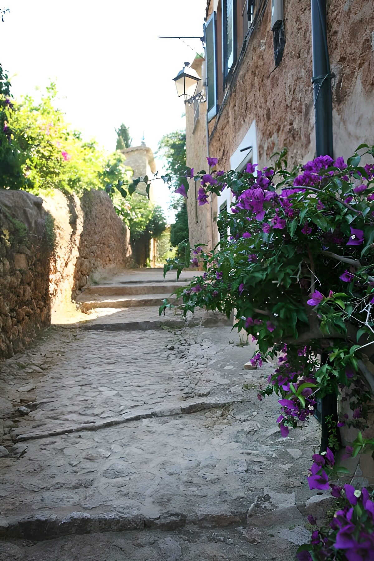 Callejón de piedra con buganvilla morada