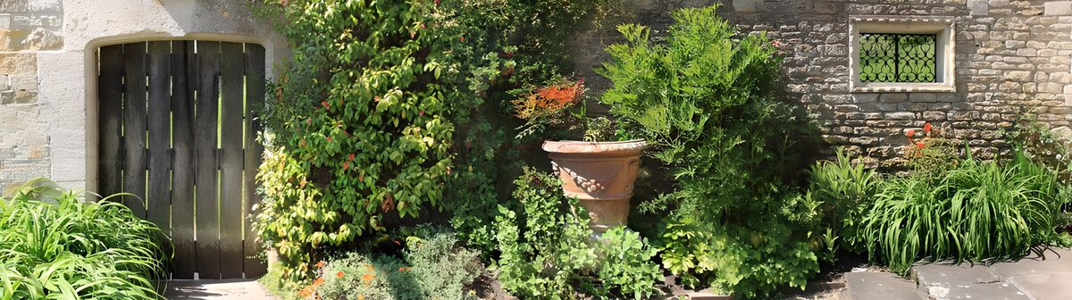 TPES97028: Jardín frondoso junto al muro de piedra