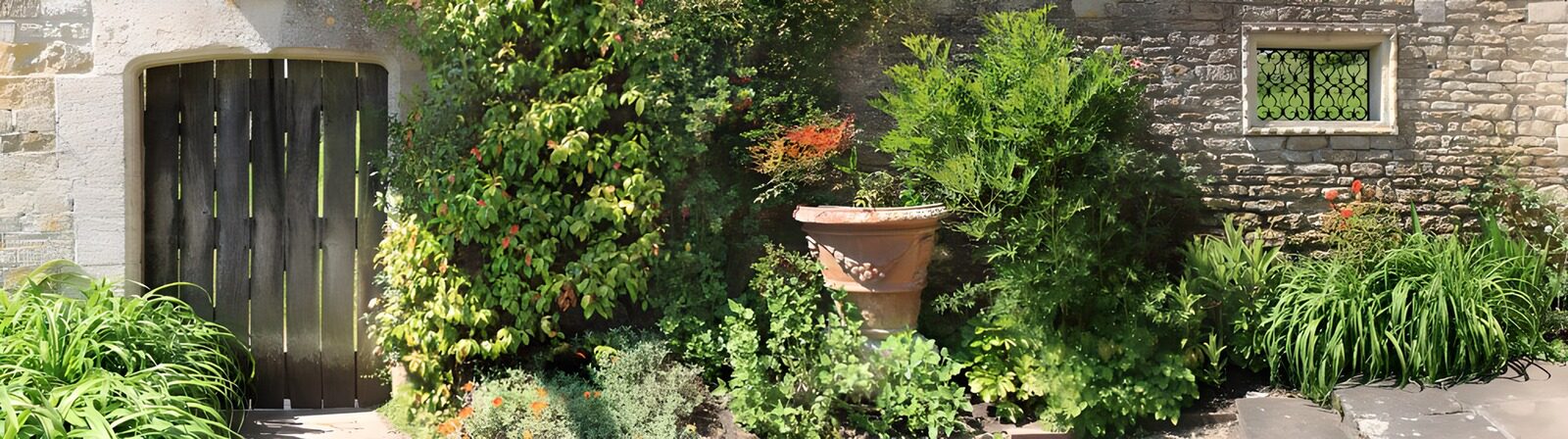 TPES97028: Jardín frondoso junto al muro de piedra