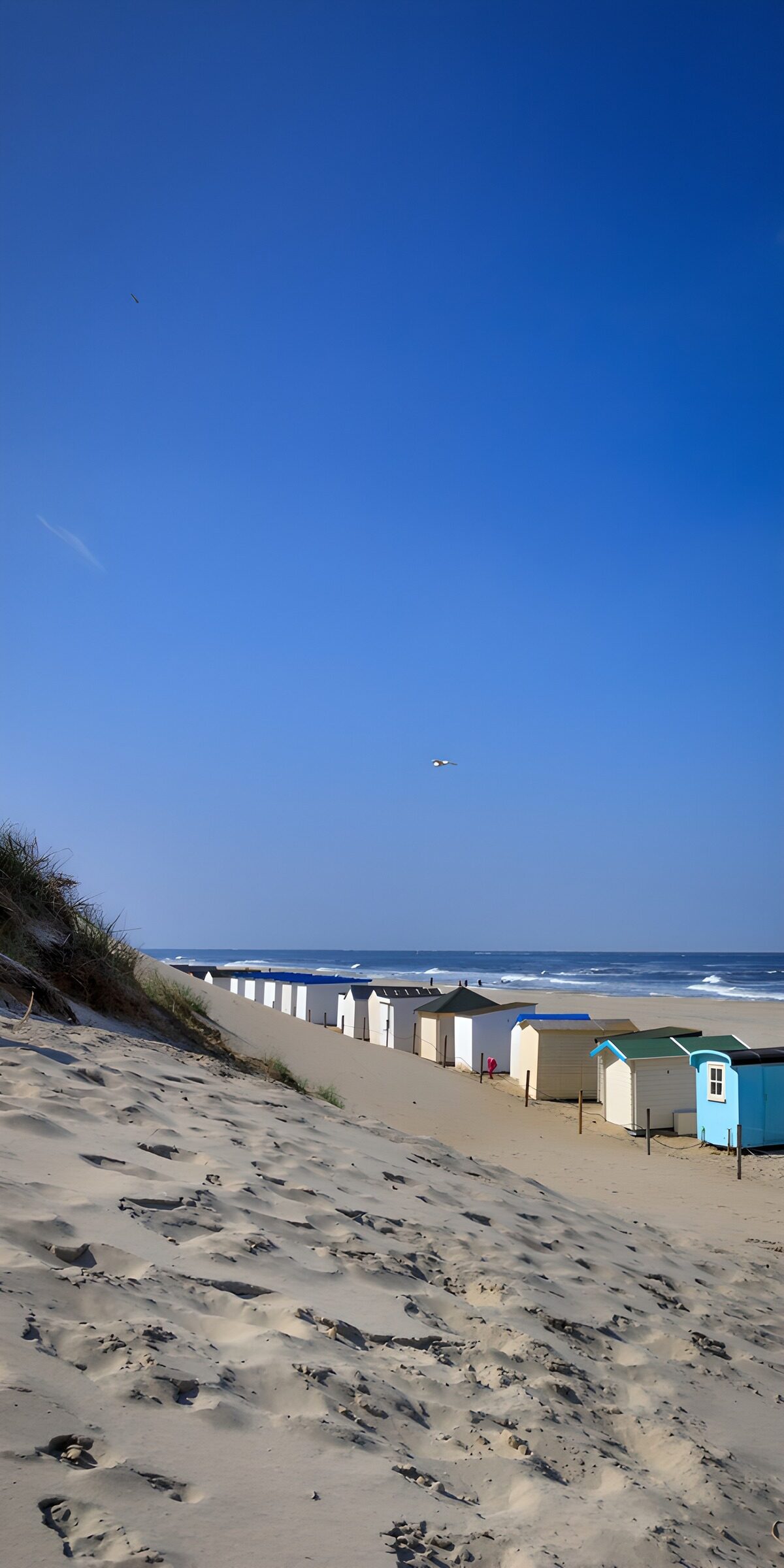 TPES86113: Casetas de playa entre dunas y mar