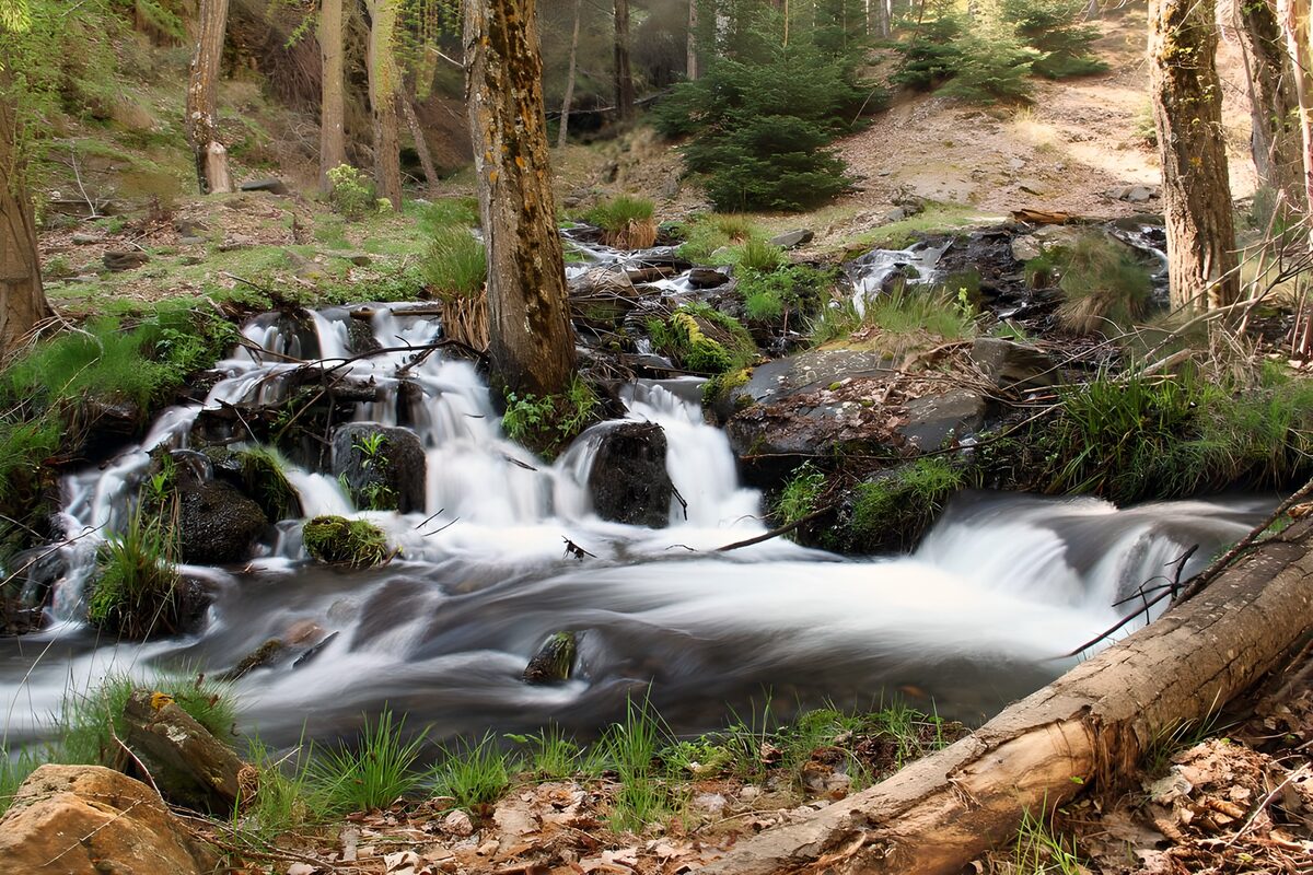 Cascadas entre rocas a la sombra del bosque