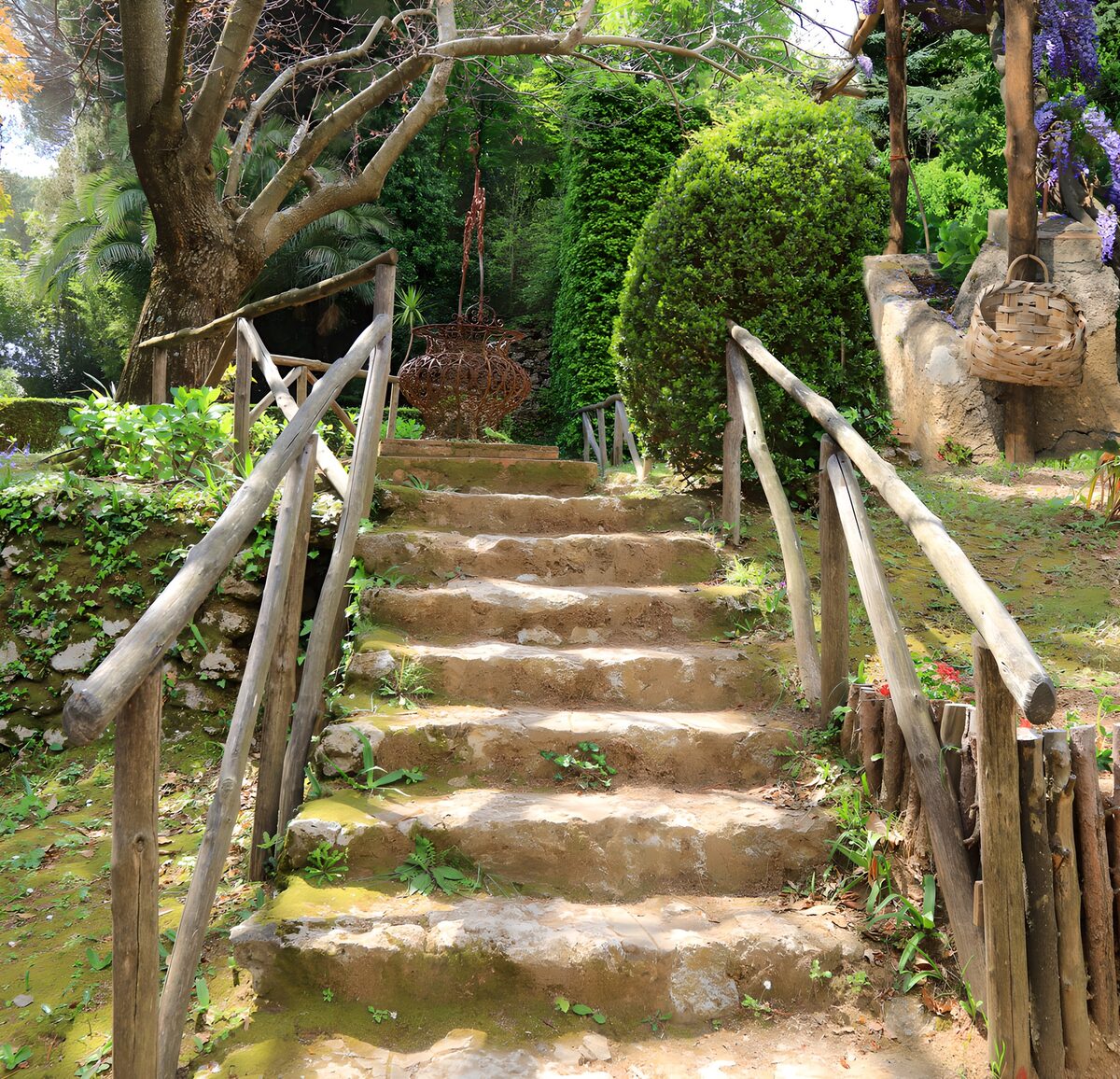 TPES35891: Escalera de piedra entre verde y sombra
