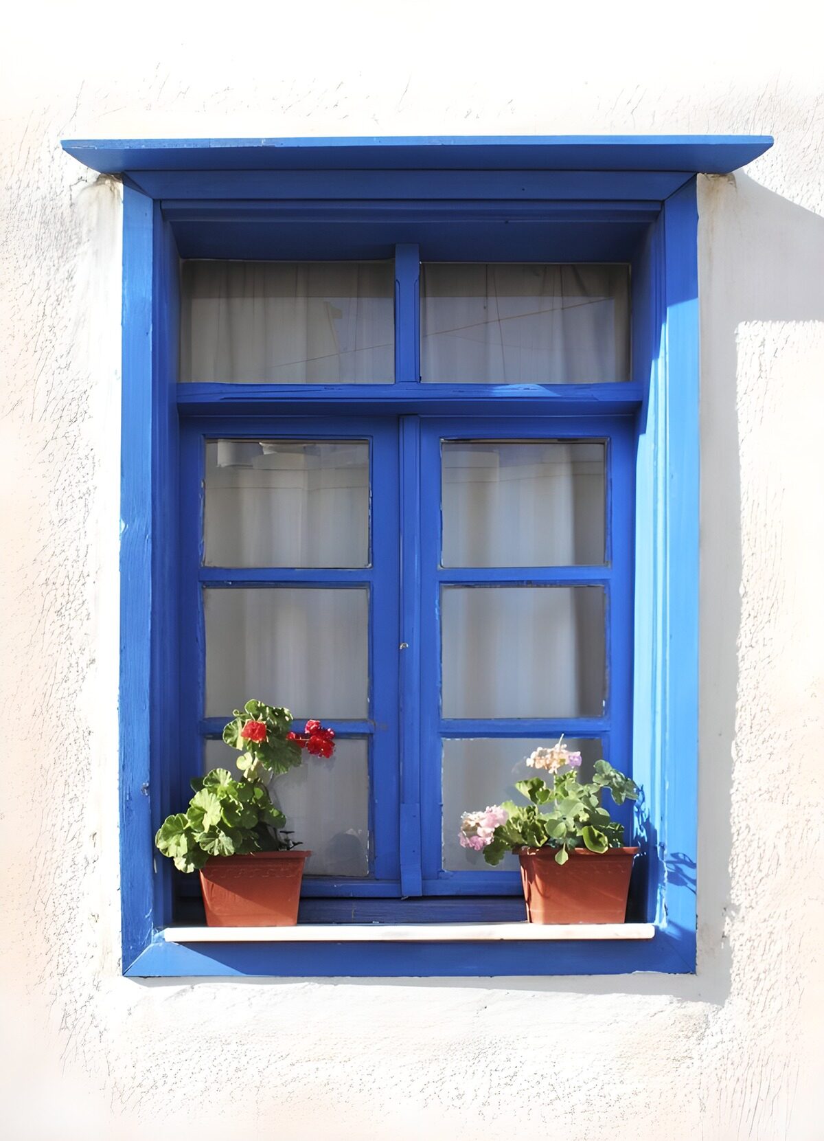 TPES29835: Ventana azul con geranios al sol