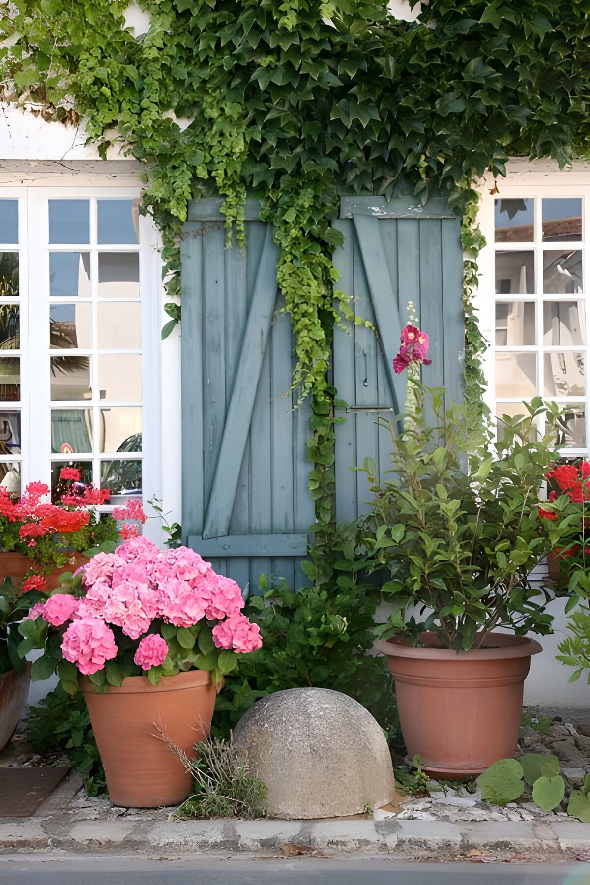 TPES46406: Contraventanas azules y hortensias