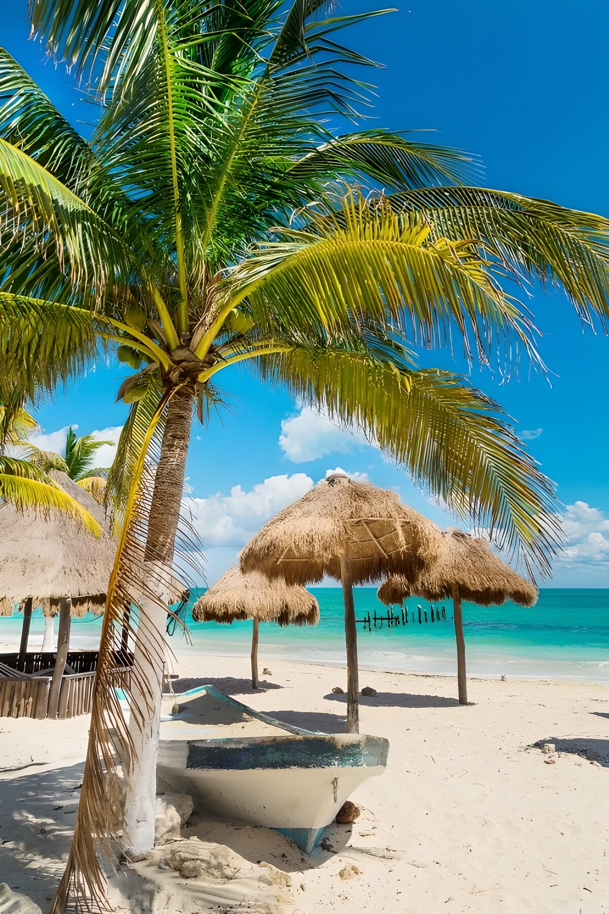 TPES72121: Palmera y barca en una playa soleada
