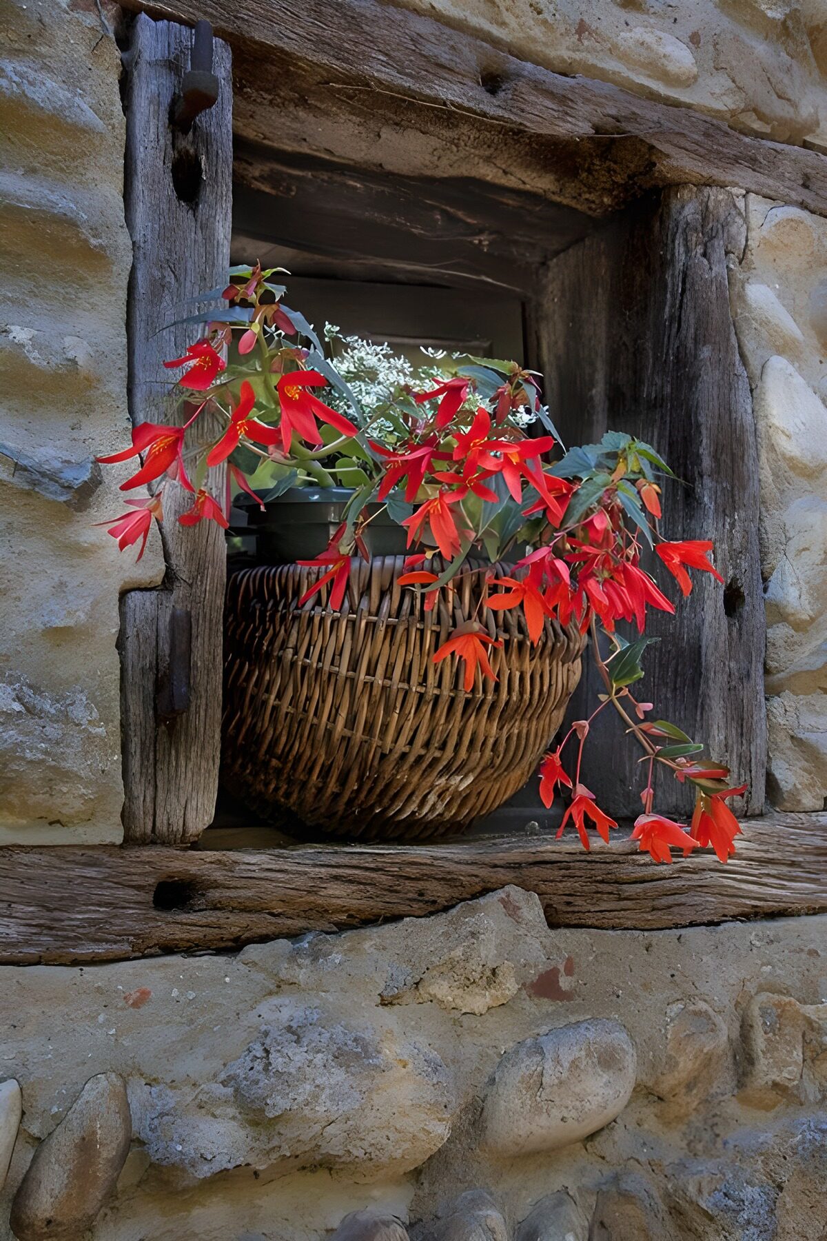 TPES63770: Cesta de flores en una ventana rústica