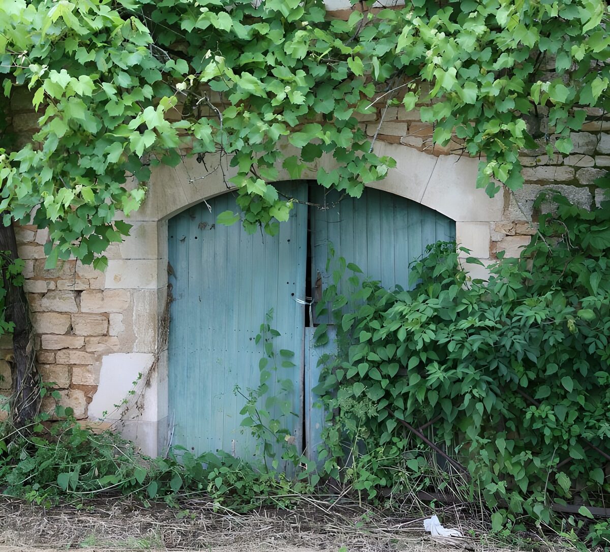 Puerta doble azul entre la maleza