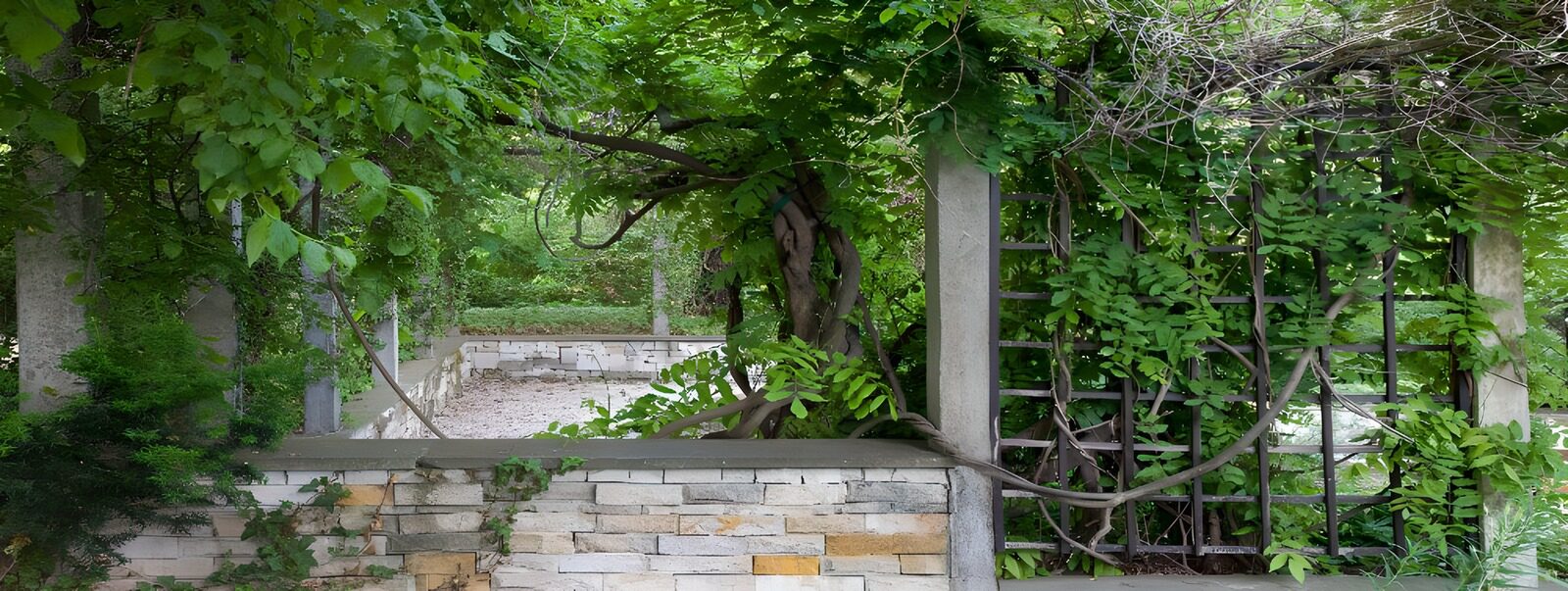 TPES51572: Pérgola frondosa tras el muro de piedra