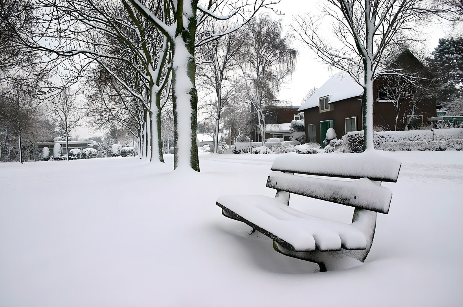 TPES35411: Banco y casas bajo la nieve
