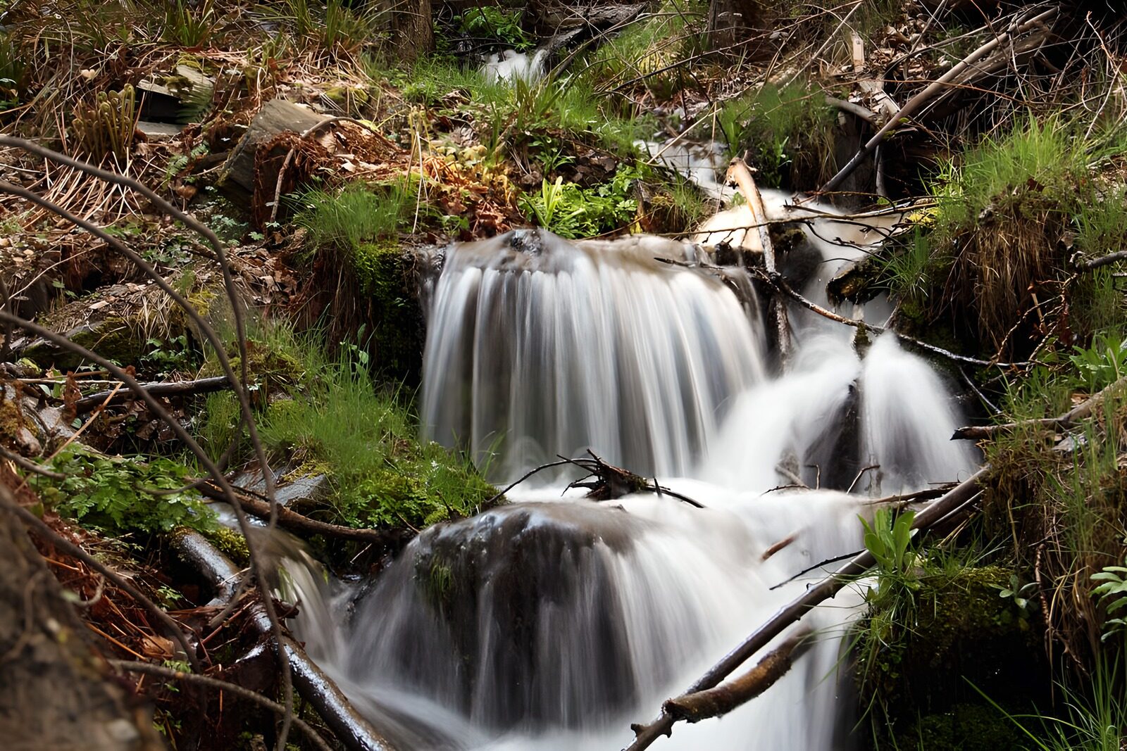 TPES67685: Arroyo en cascada entre rocas y musgo