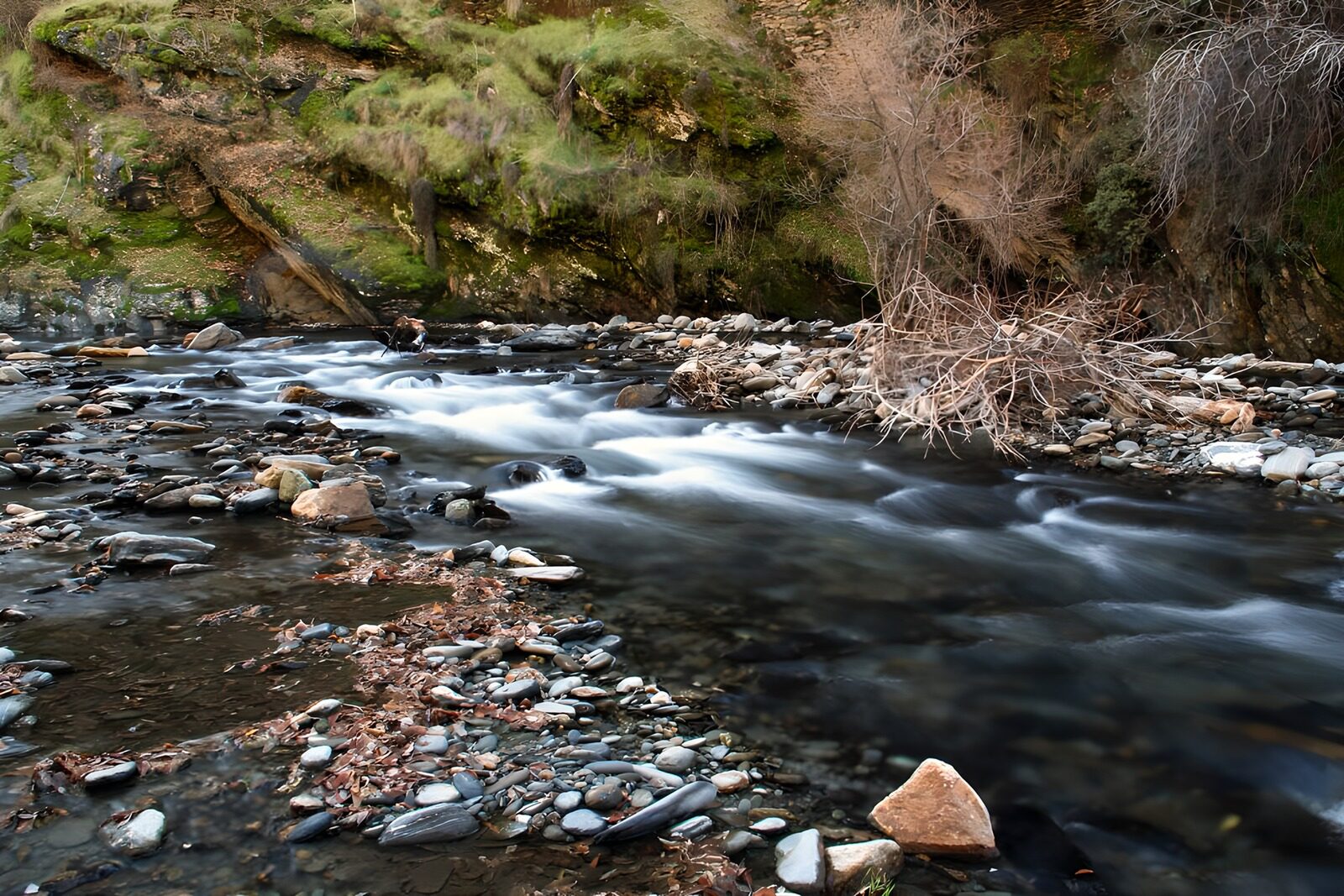 TPES18203: Arroyo de aguas suaves entre rocas