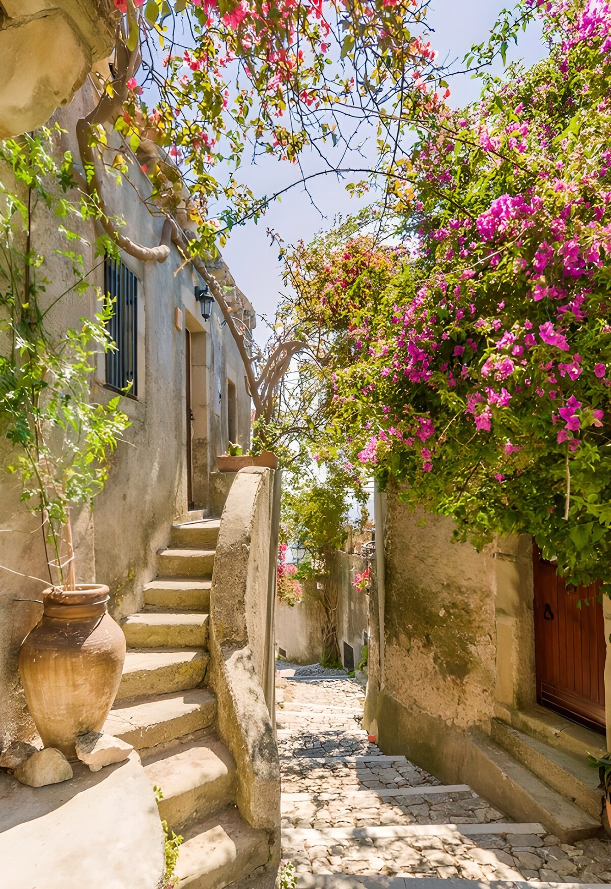 TPES90865: Callejón de piedra con buganvilla al sol