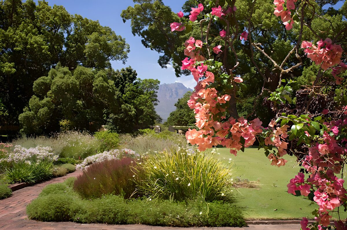 Jardín con estanque y flores al sol