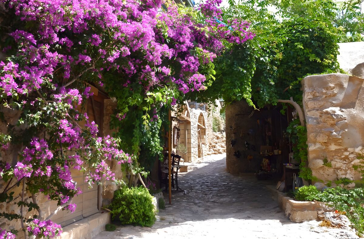 TPES25647: Callejón de piedra a la sombra de buganvillas