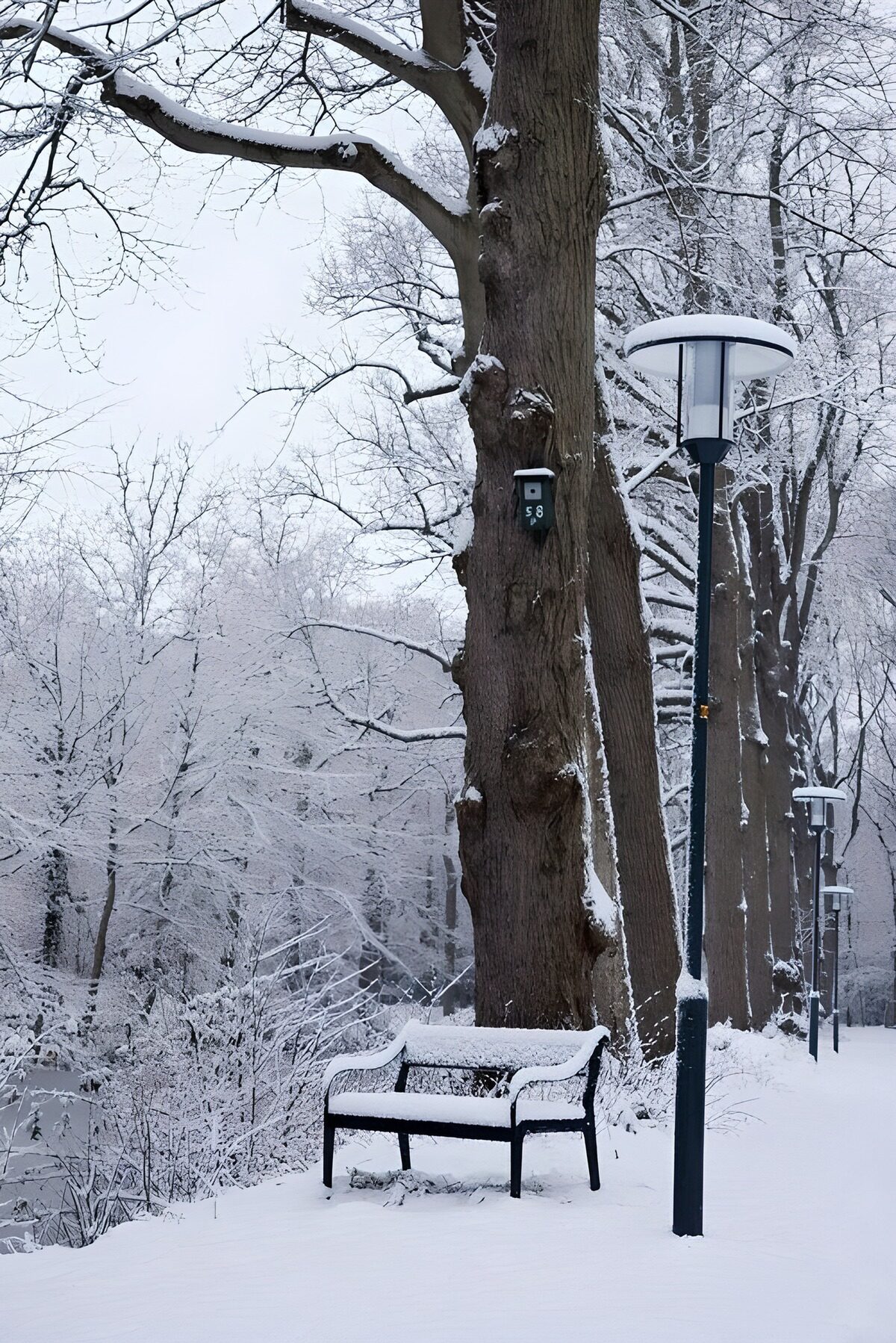 Banco y farola bajo la nieve