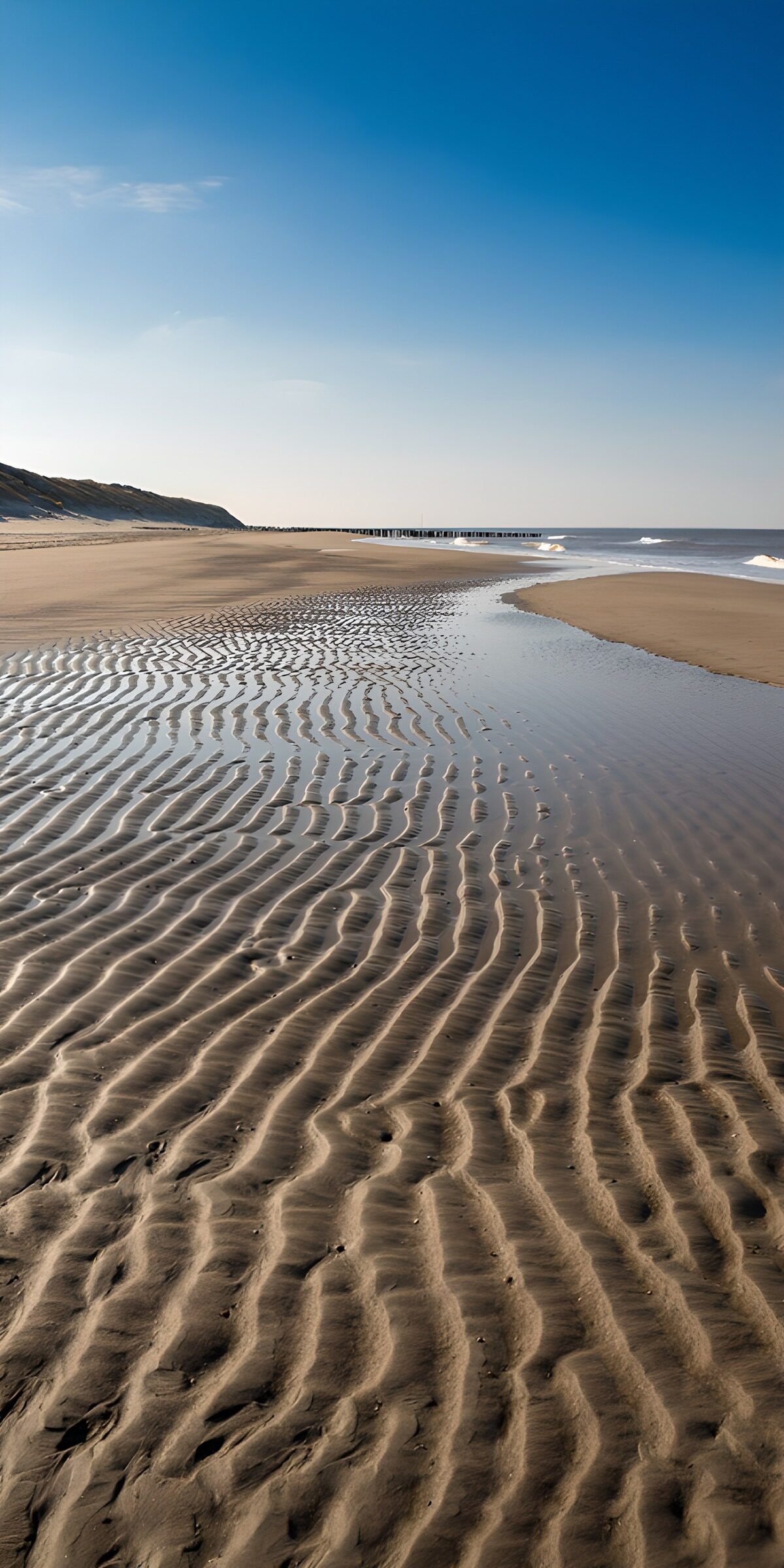 TPES44741: Playa en bajamar, surcos y calma