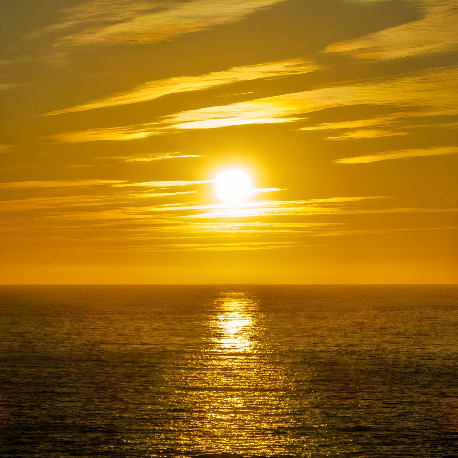 TPES49244: Sol y reflejos dorados en el mar