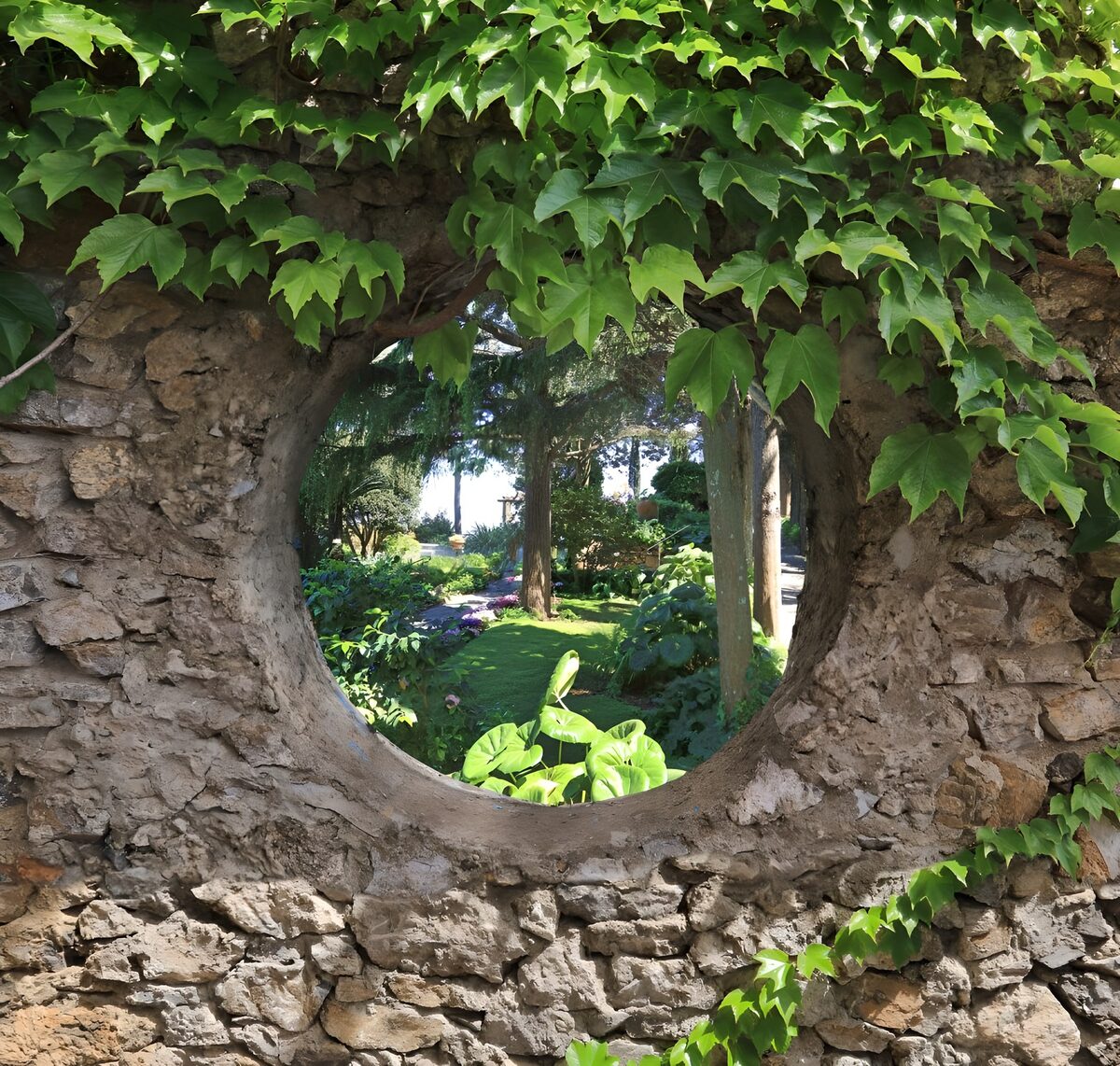 TPES26833: Ventana redonda al frescor del jardín