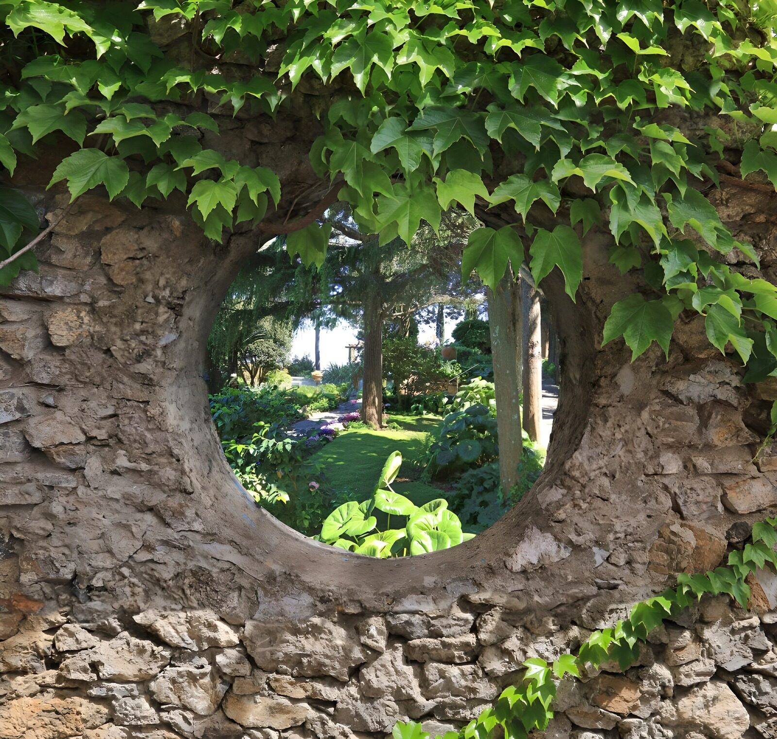 TPES26833: Ventana redonda al frescor del jardín