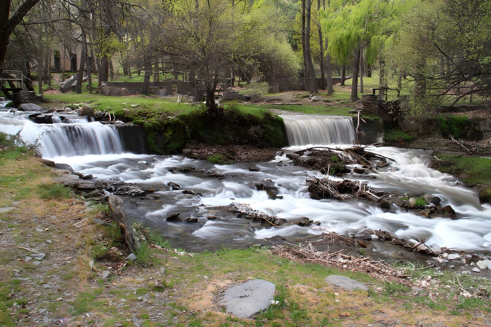 TPES62166: Arroyo entre árboles y pequeñas cascadas