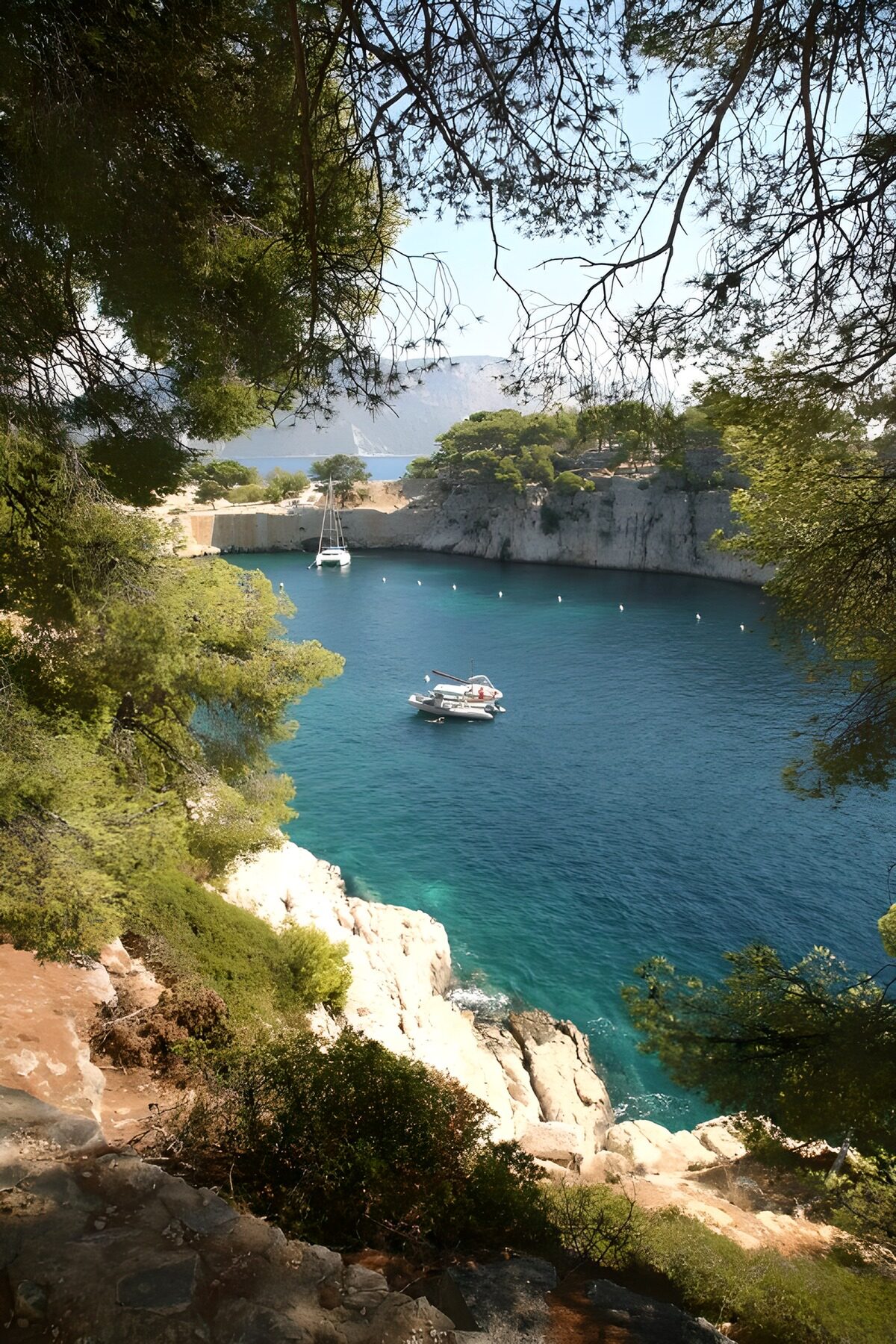 Cala turquesa entre pinos y rocas