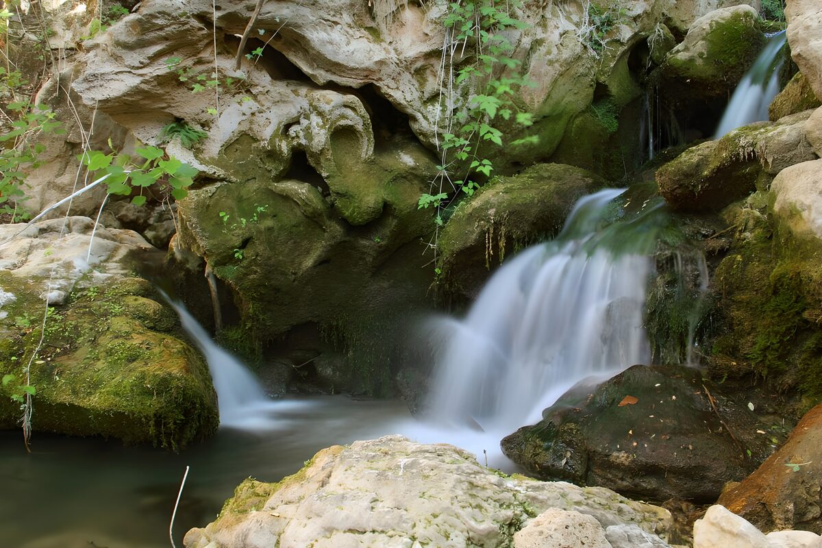 TPES28189: Cascada entre rocas y hojas verdes