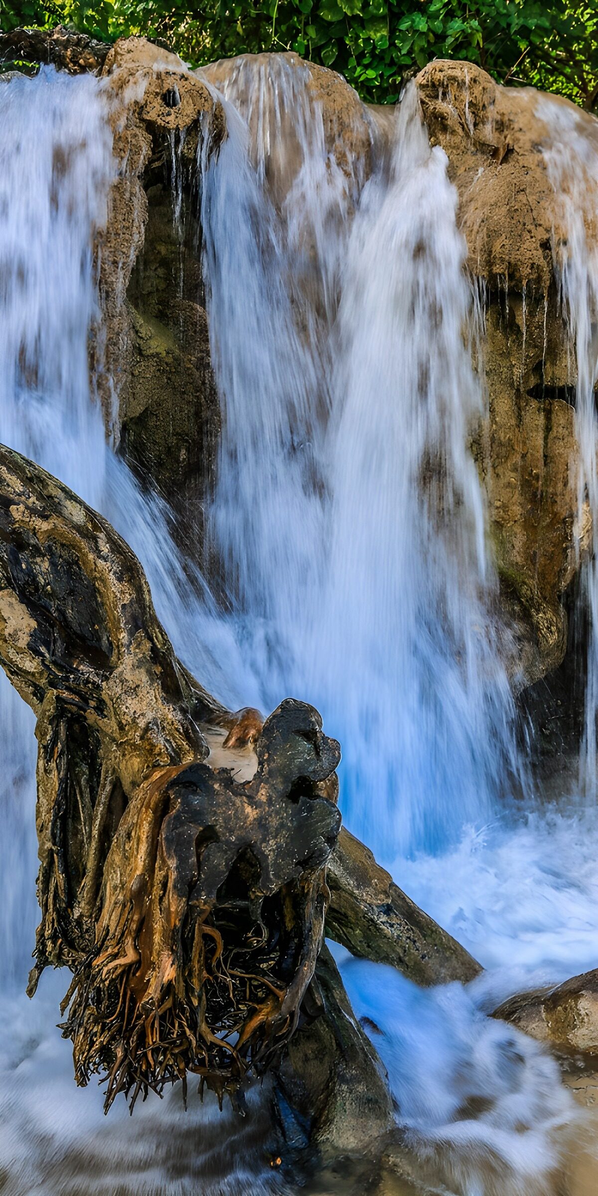 TPES59483: Cascada entre rocas y una gran raíz