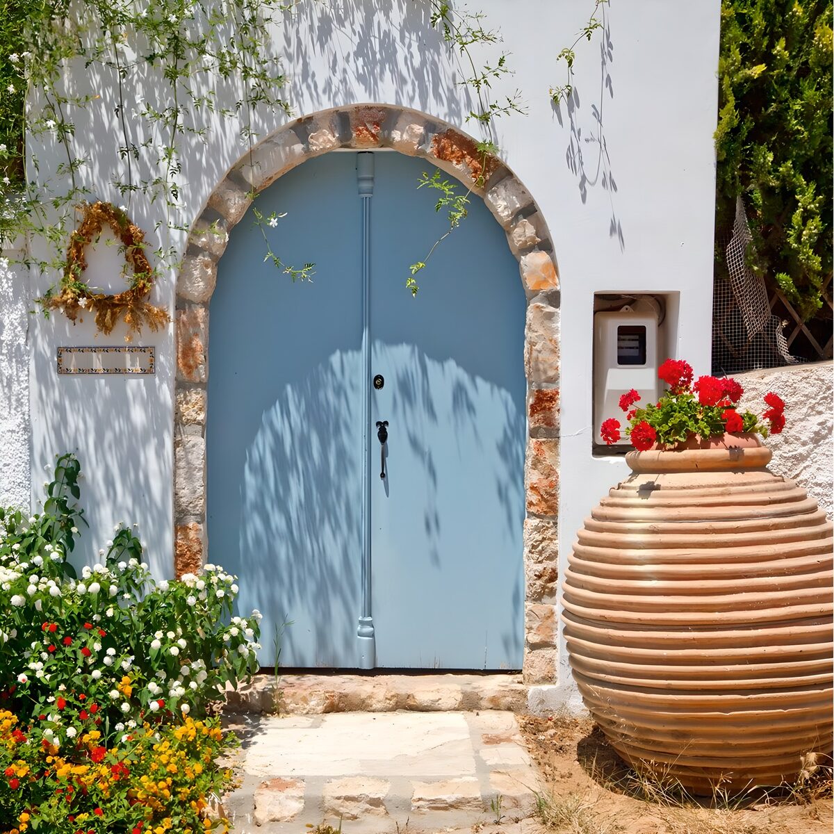Sombras que florecen en la puerta azul