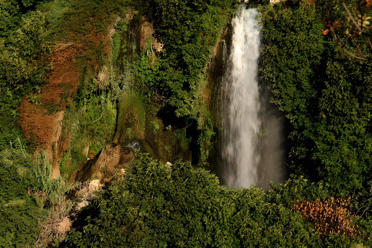 TPES90661: Cascada entre rocas y un verde intenso