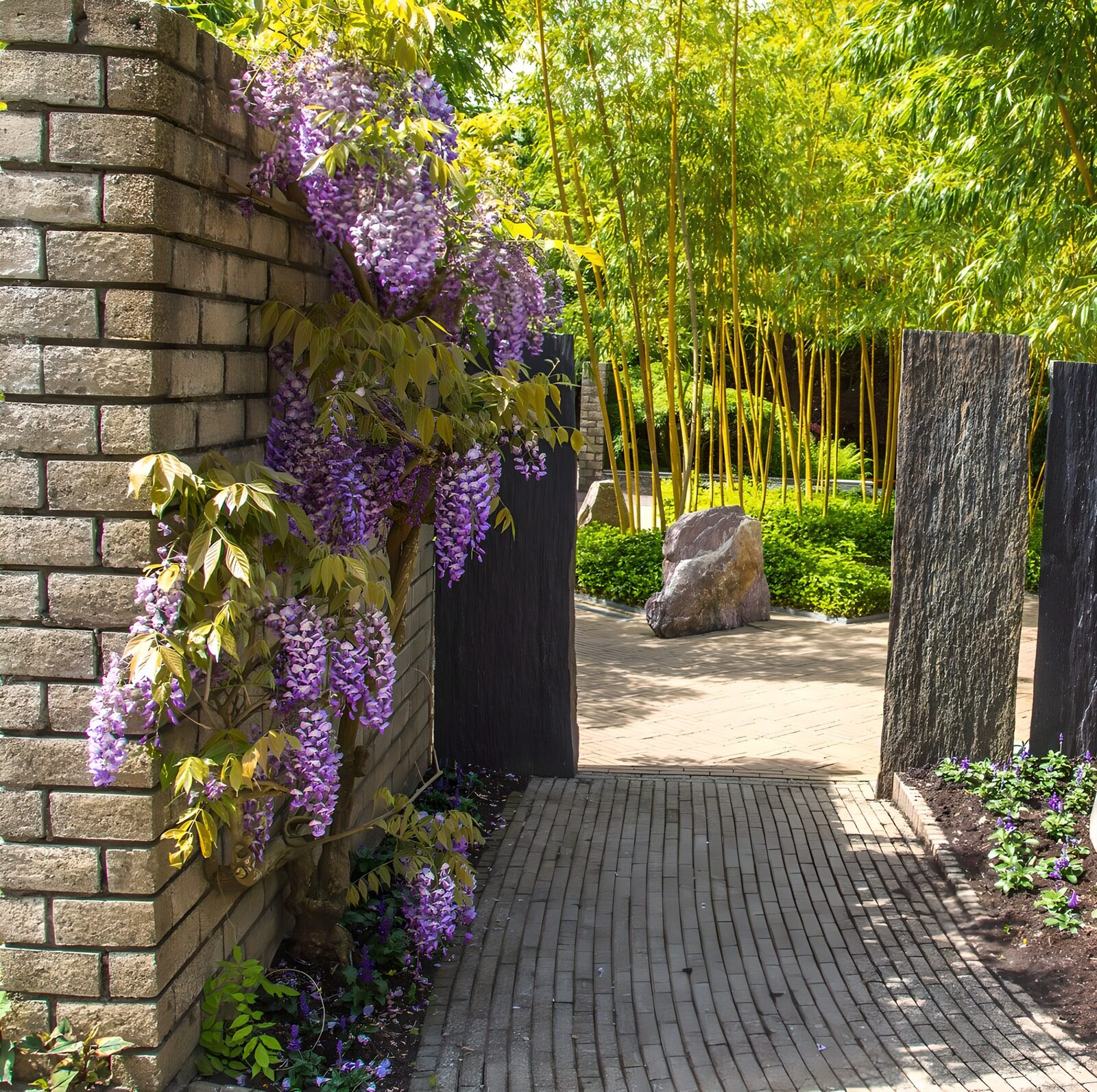 TPES12818: Entrada de jardín con glicinas y bambú