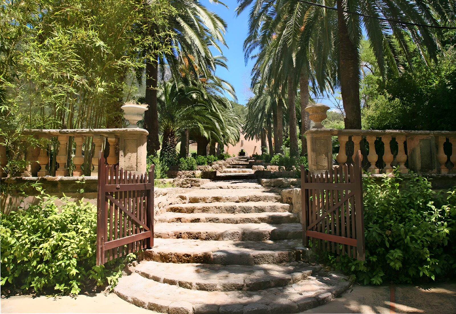 TPES60217: Escalera de piedra entre palmeras