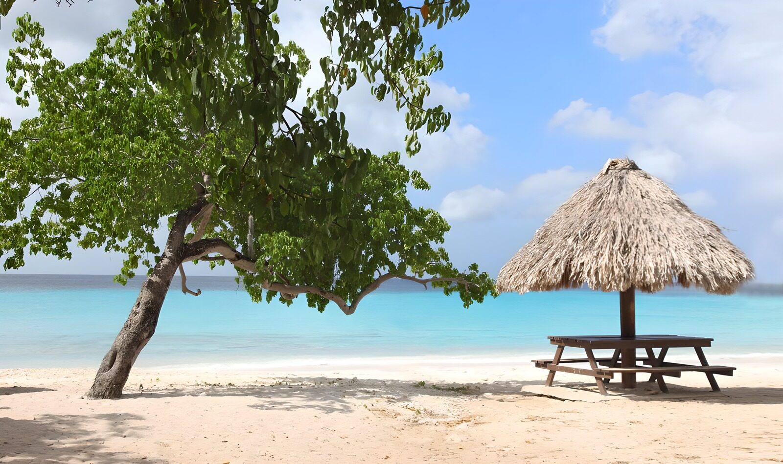 TPES78898: Playa turquesa con mesa a la sombra