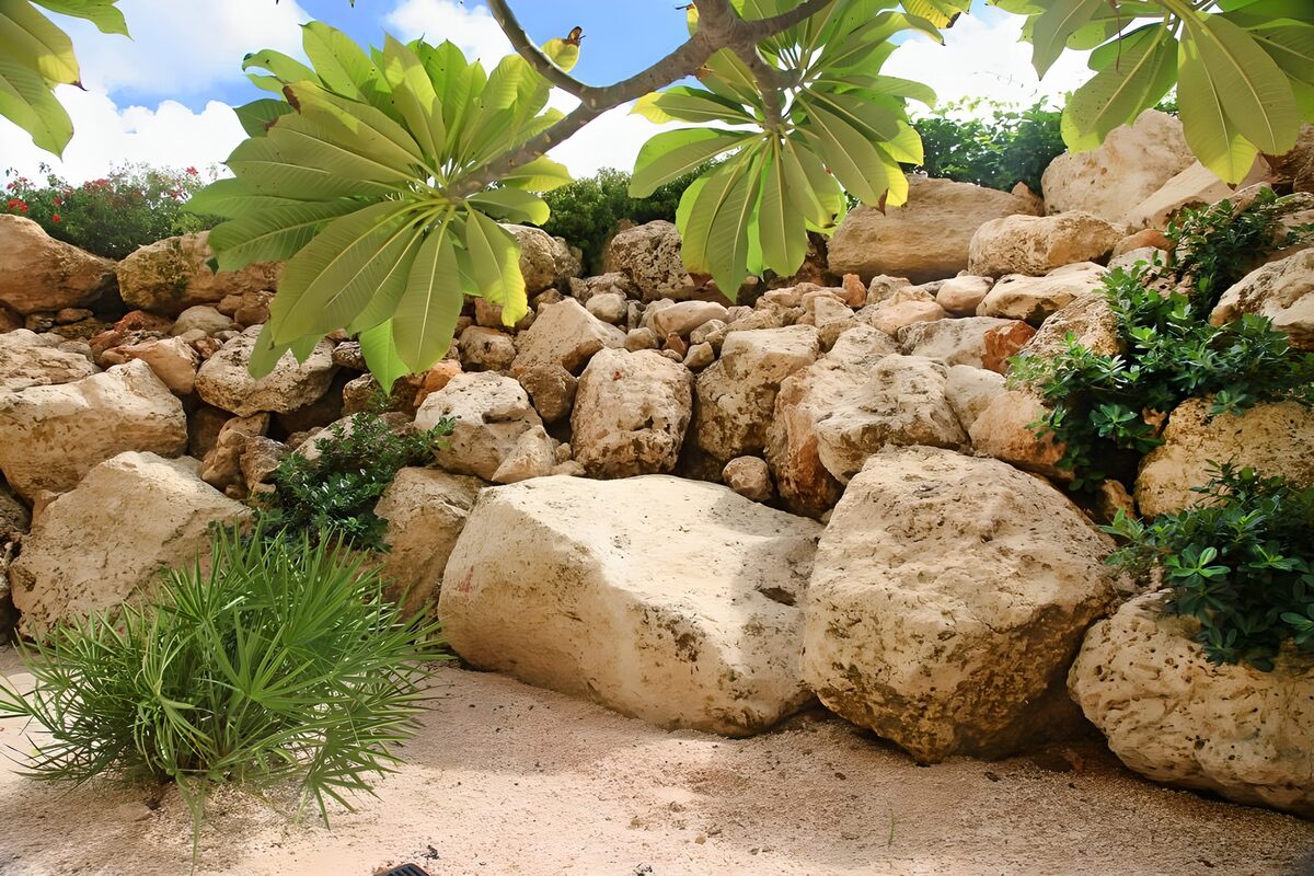 Jardín de rocas al sol