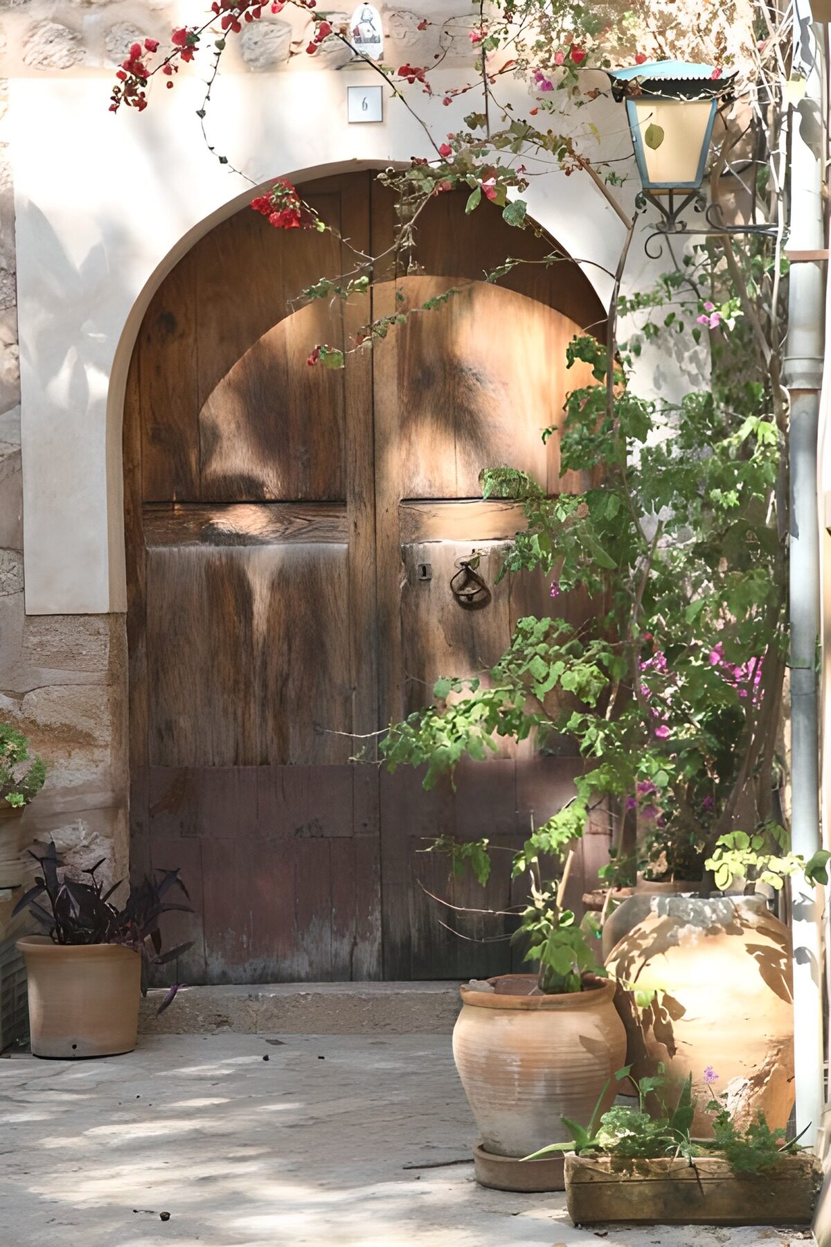Puerta de madera y flores al sol