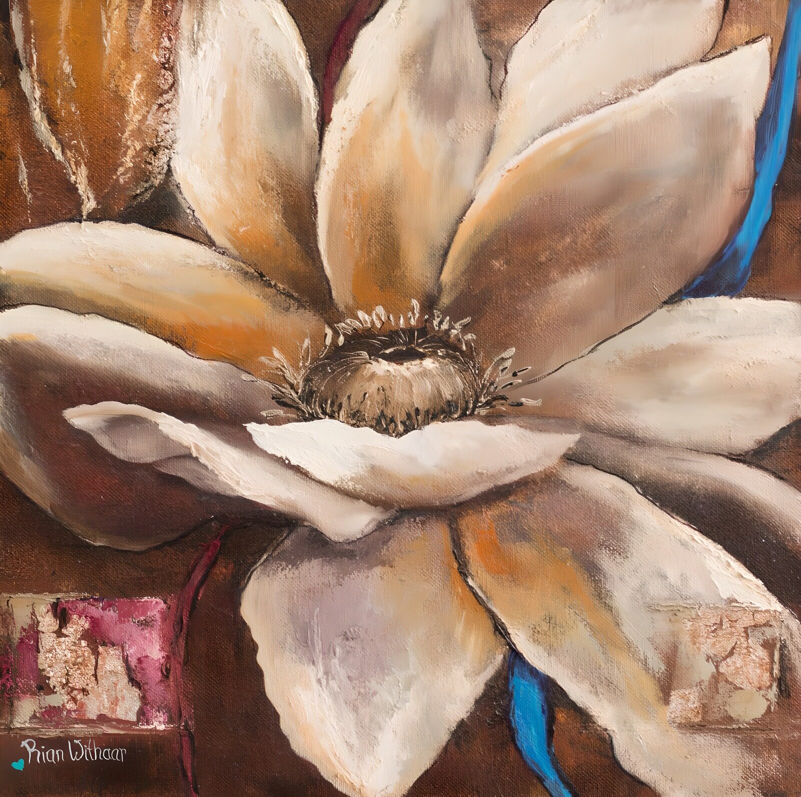 TPES52593: Flor crema en primer plano sobre fondo oscuro