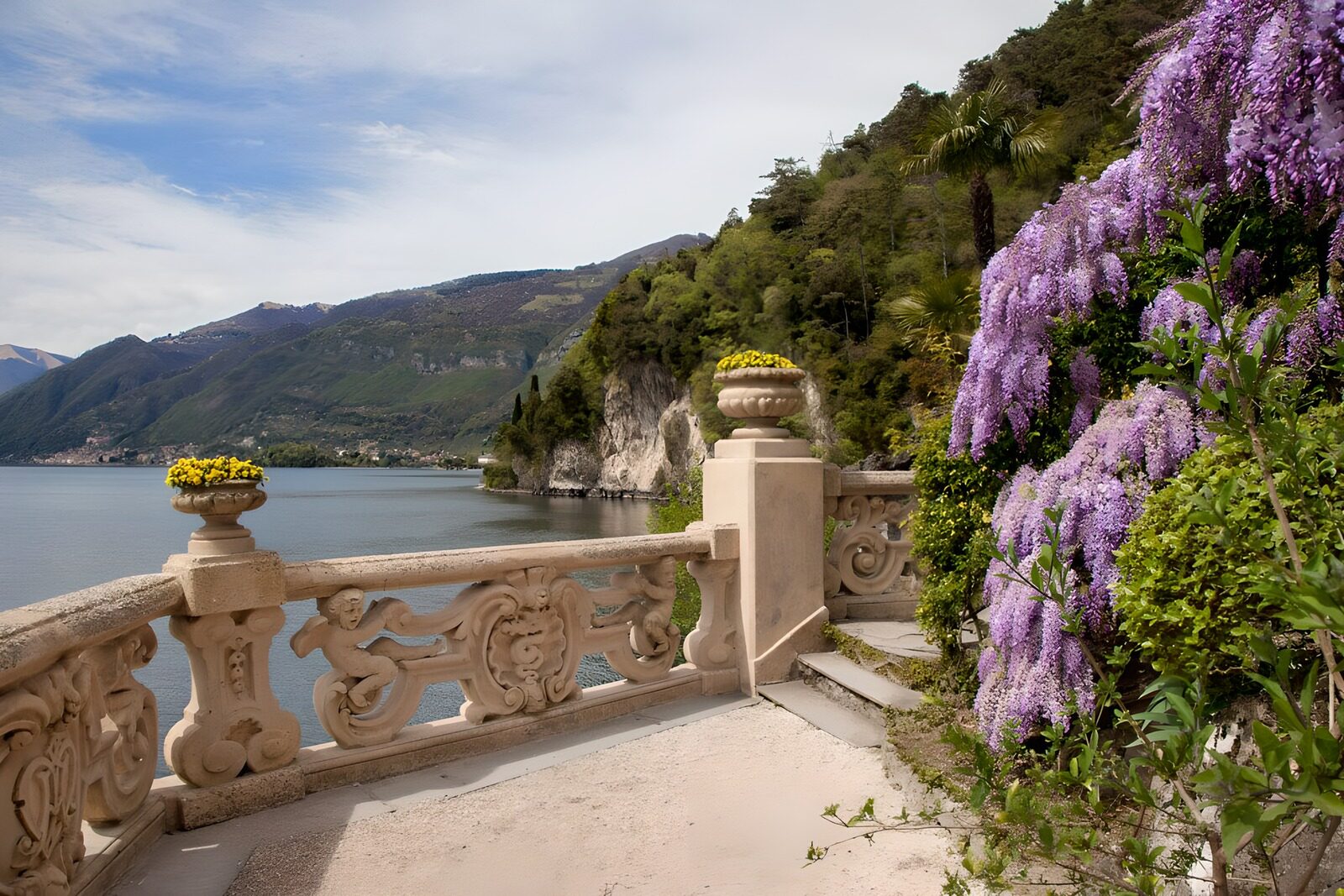 TPES98476: Terraza al sol entre el lago y las flores