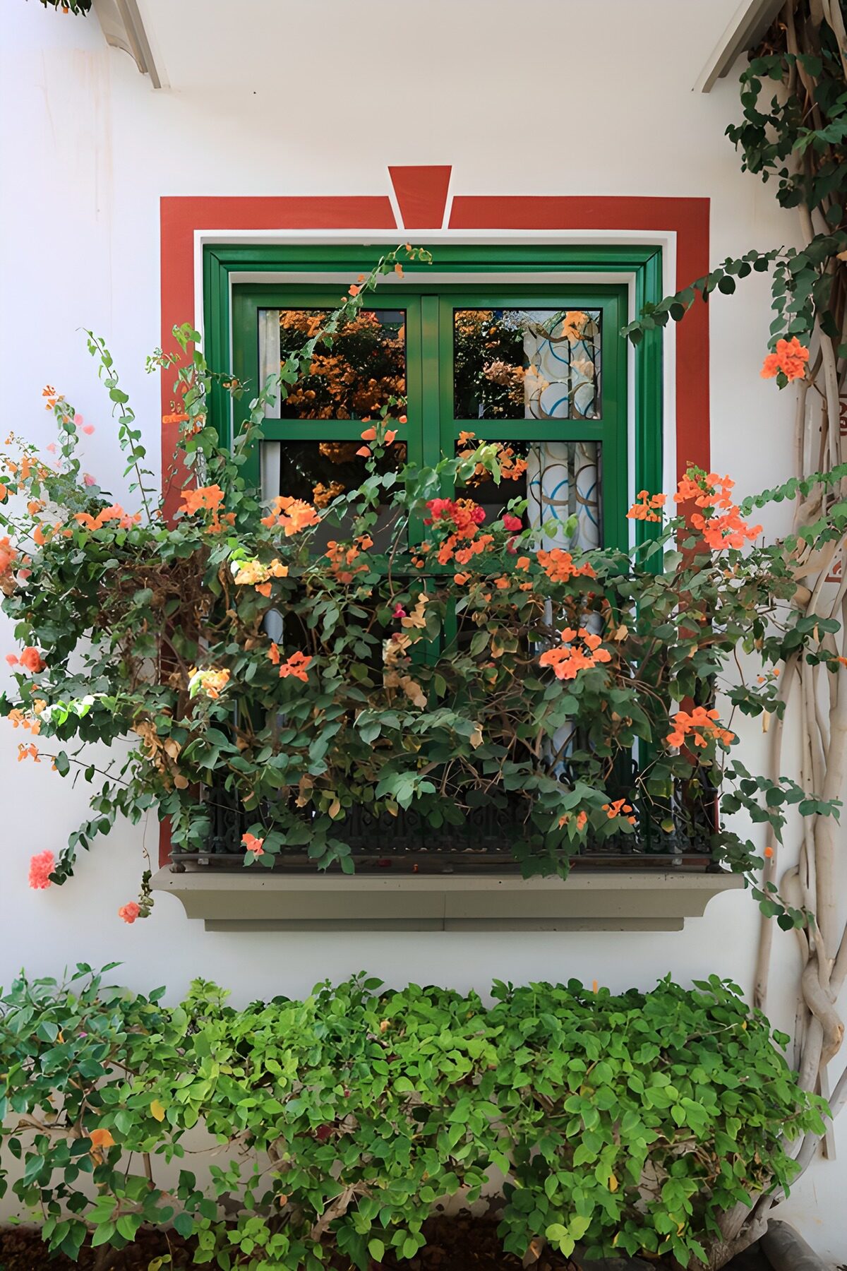 Ventana verde entre flores de colores
