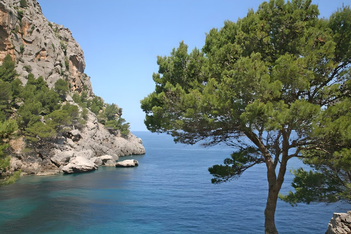 Cala rocosa entre pinos y aguas turquesas