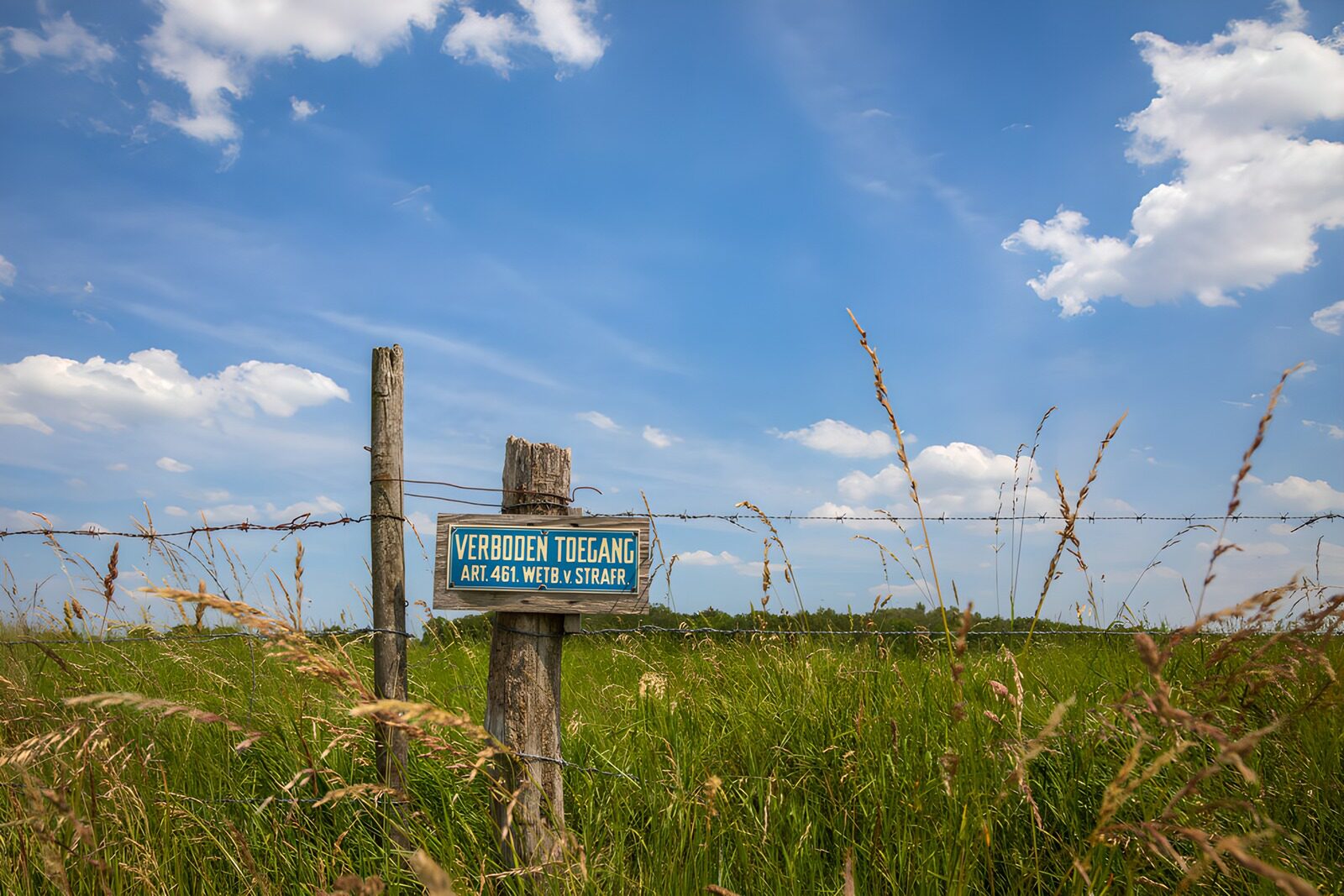 TPES38807: Pradera con cartel de prohibido el paso
