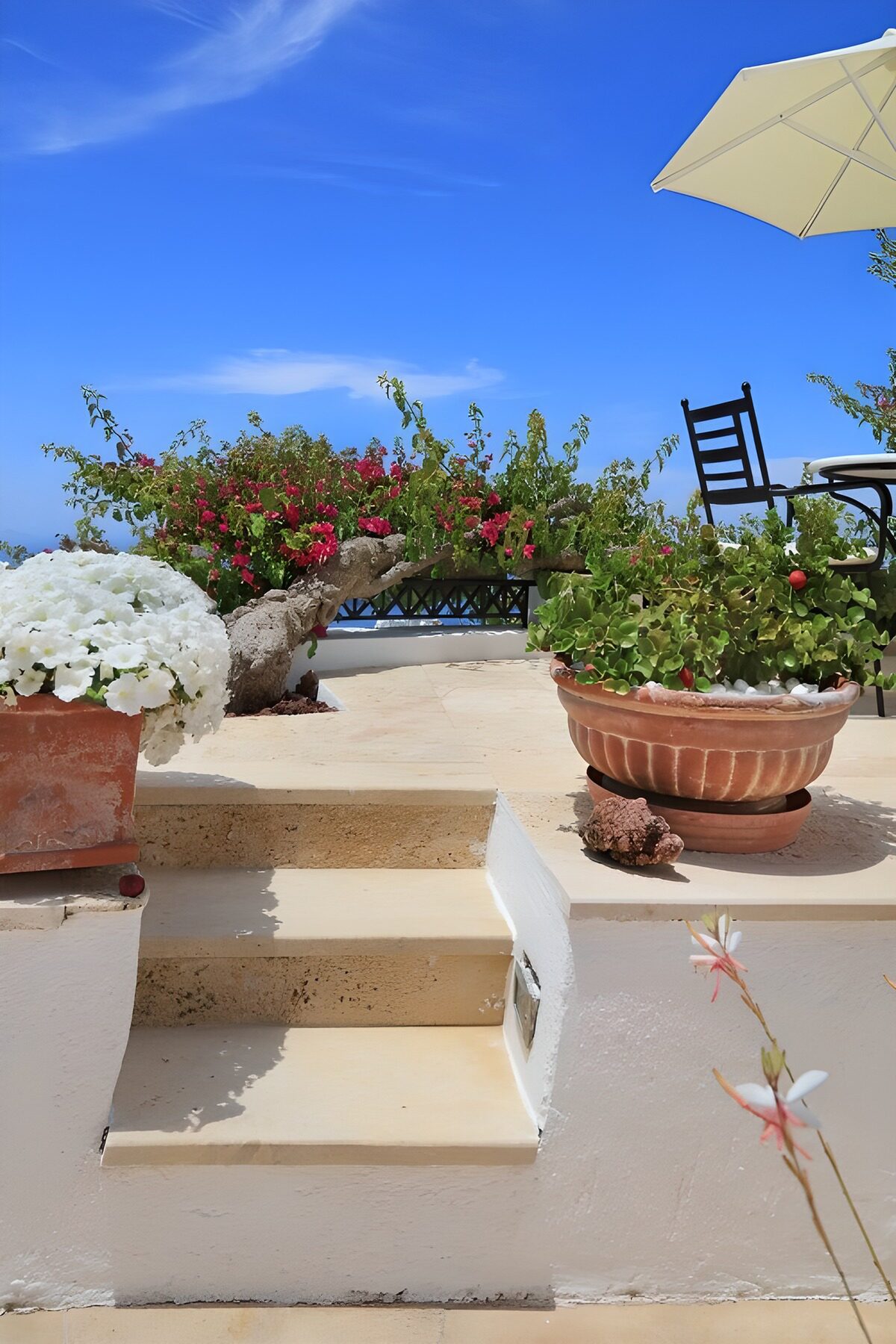 Terraza soleada con flores y escaleras