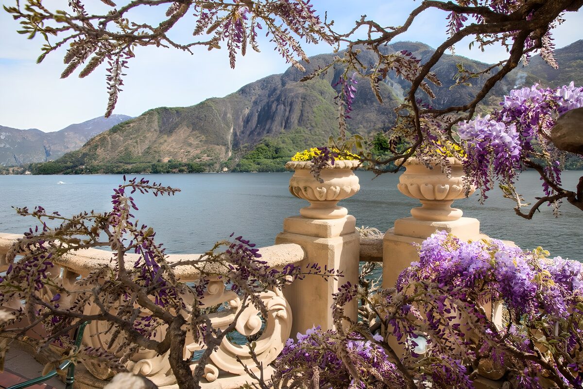 TPES66432: Terraza al sol con glicinas y lago