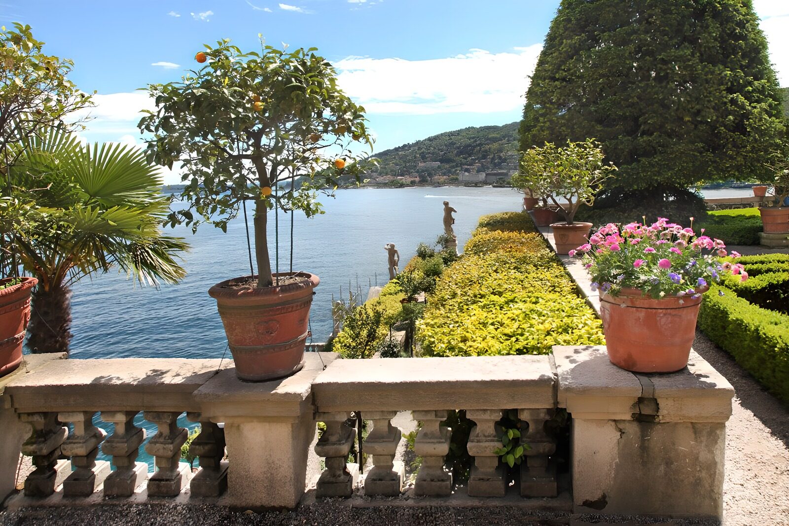 TPES40744: Jardín con naranjo y vistas al agua