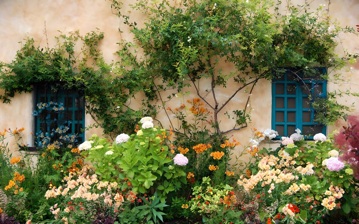 Jardín florido junto a ventanas azules