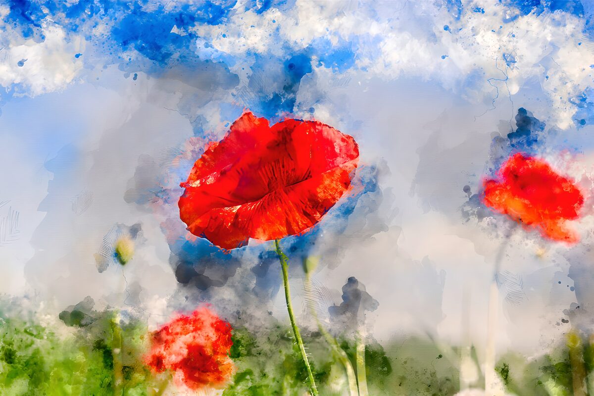 Amapolas rojas en acuarela azul