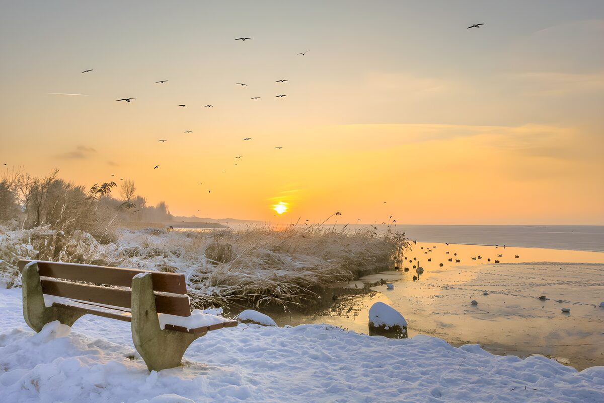 Banco y aves en un atardecer nevado
