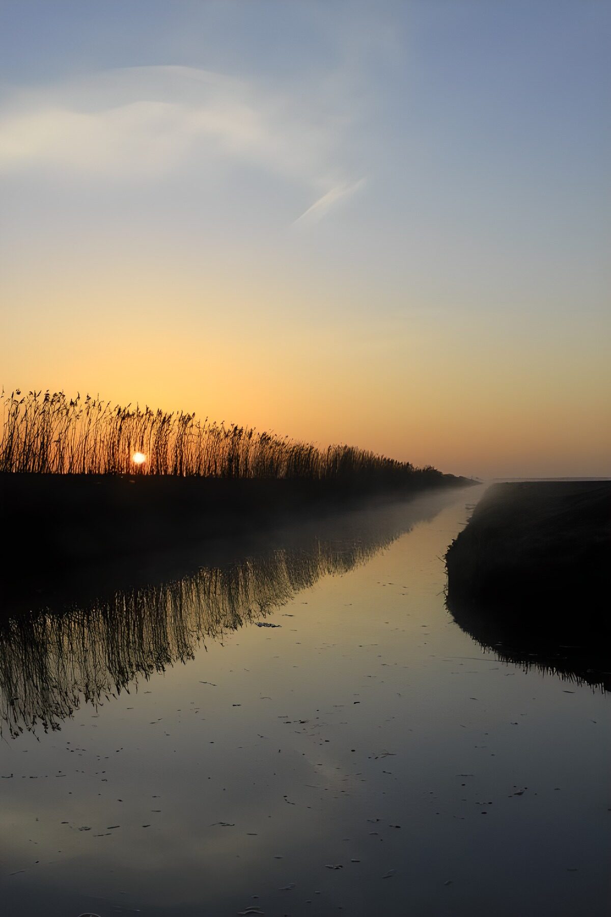 Canal entre juncos a la luz del sol