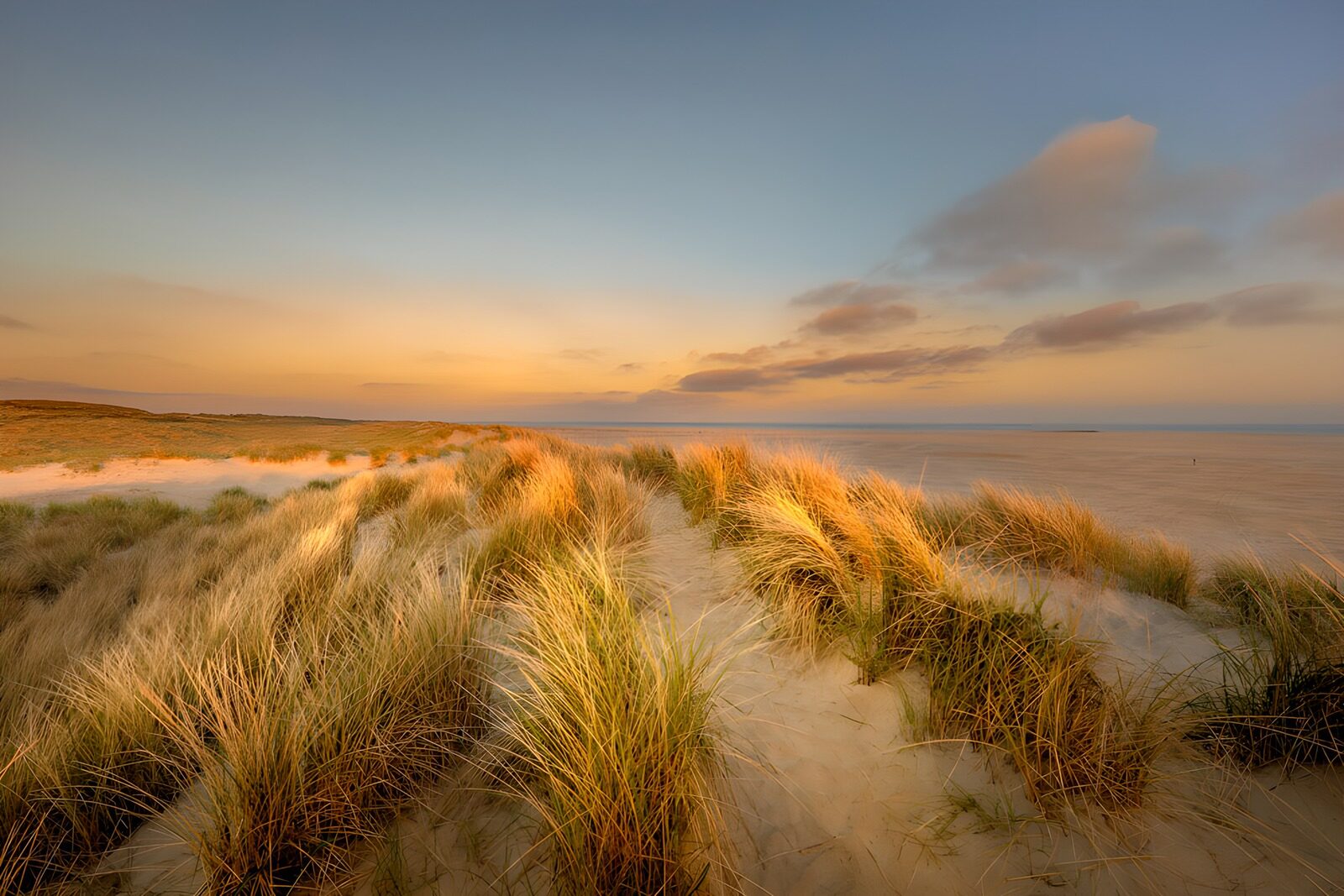 TPES14281: Dunas y mar al atardecer