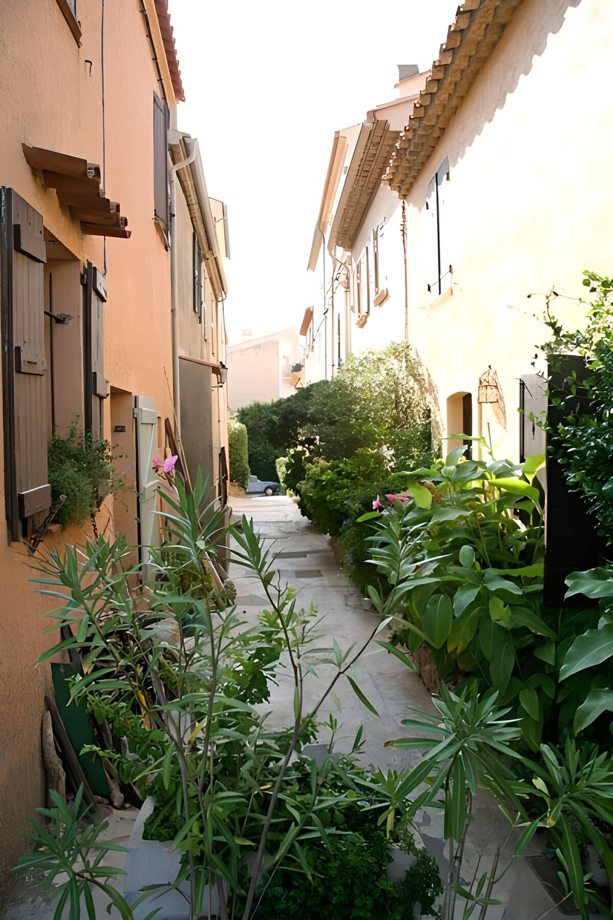 TPES67943: Callejón entre macetas y fachadas cálidas